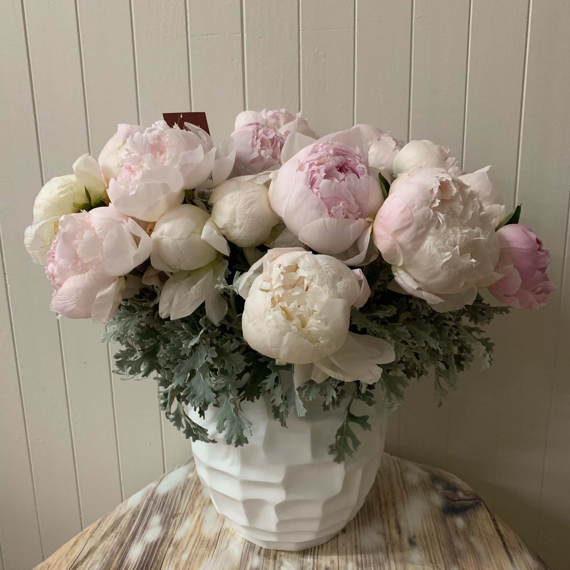 Blush and white peonies arranged in a white vase