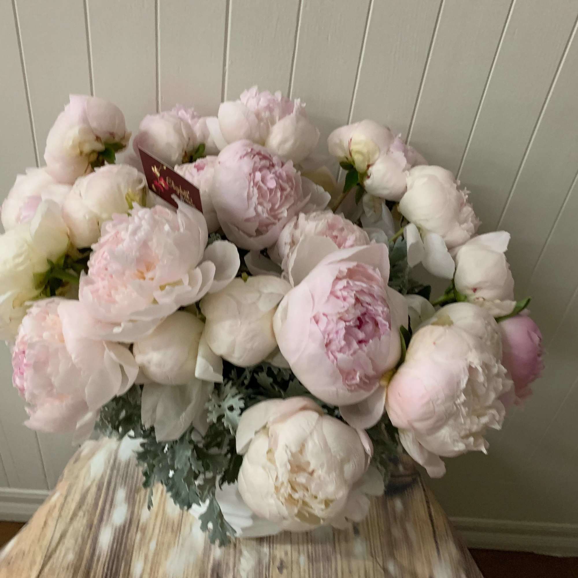 Two dozen (24 stems) of blush-colored peonies, presented in a ceramic vessel.