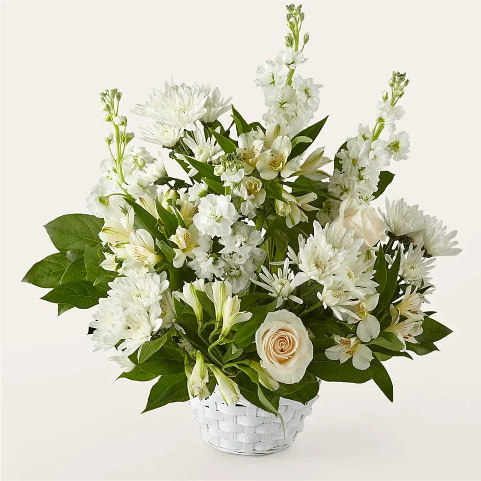 White floral arrangement in a white basket with green foliage