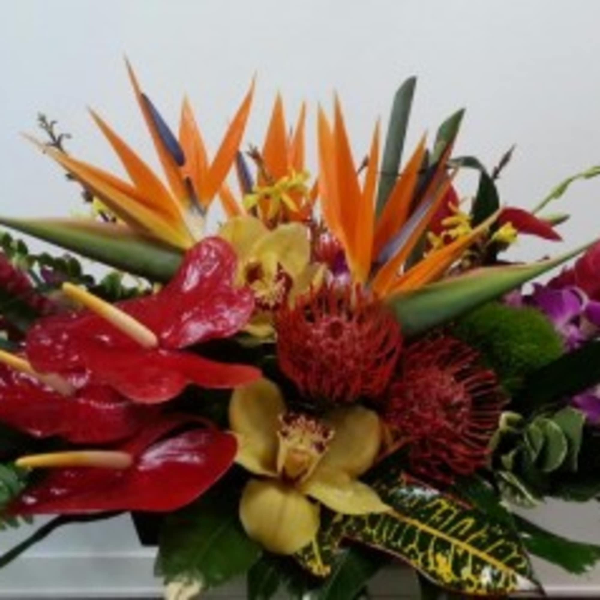 One  mixed tropical blooms and exotic foliage 