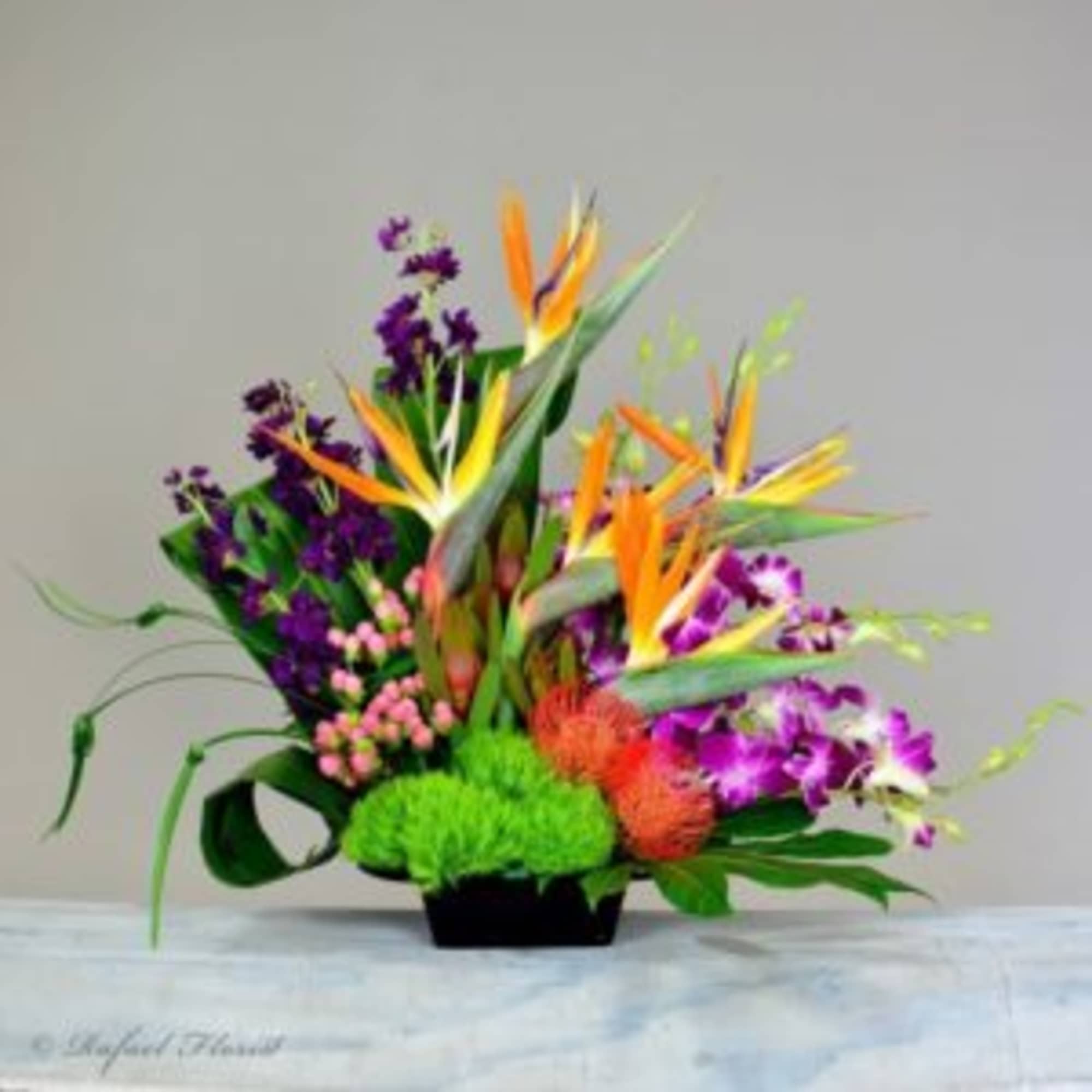 One  mixed tropical blooms and exotic foliage 
