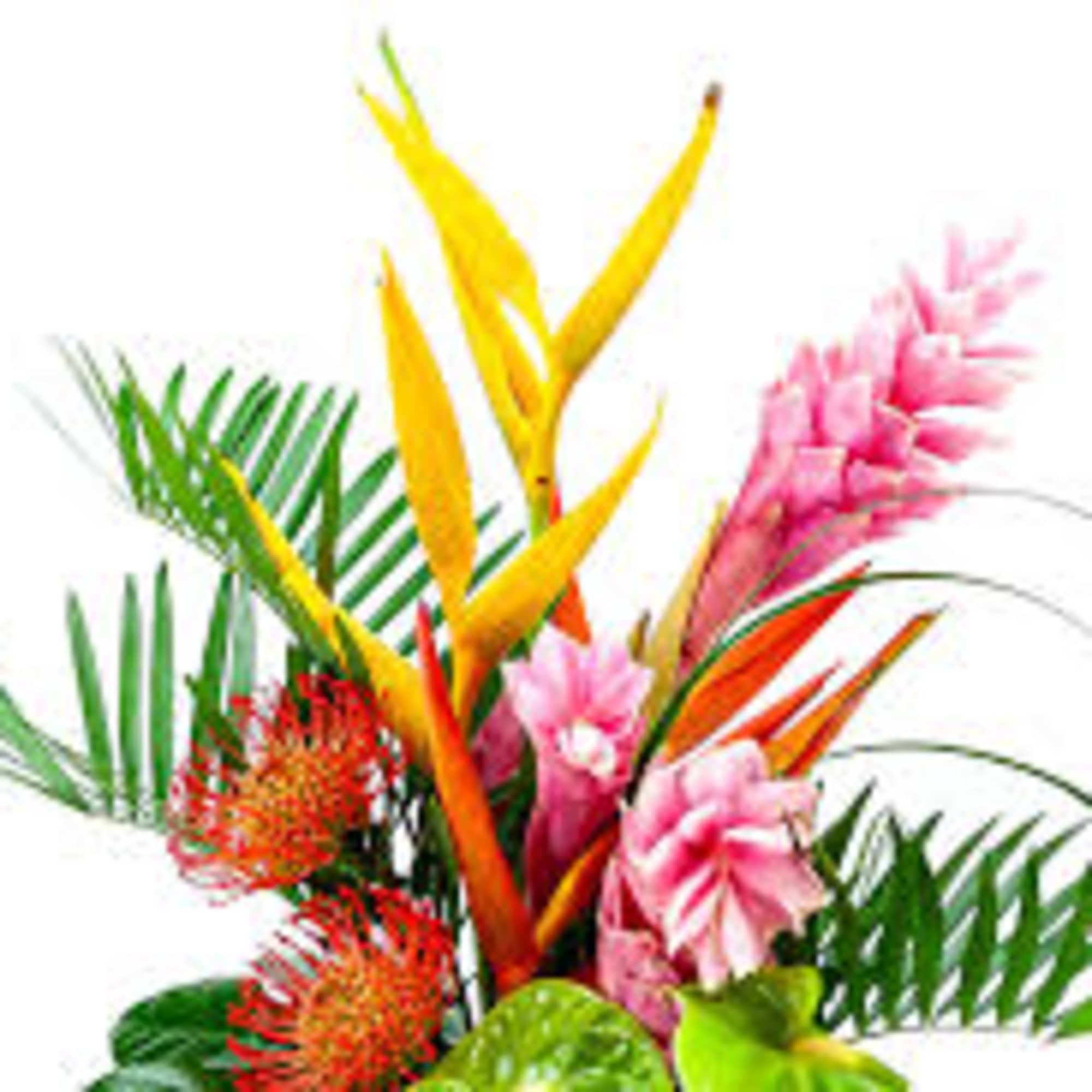 One  mixed tropical blooms and exotic foliage 