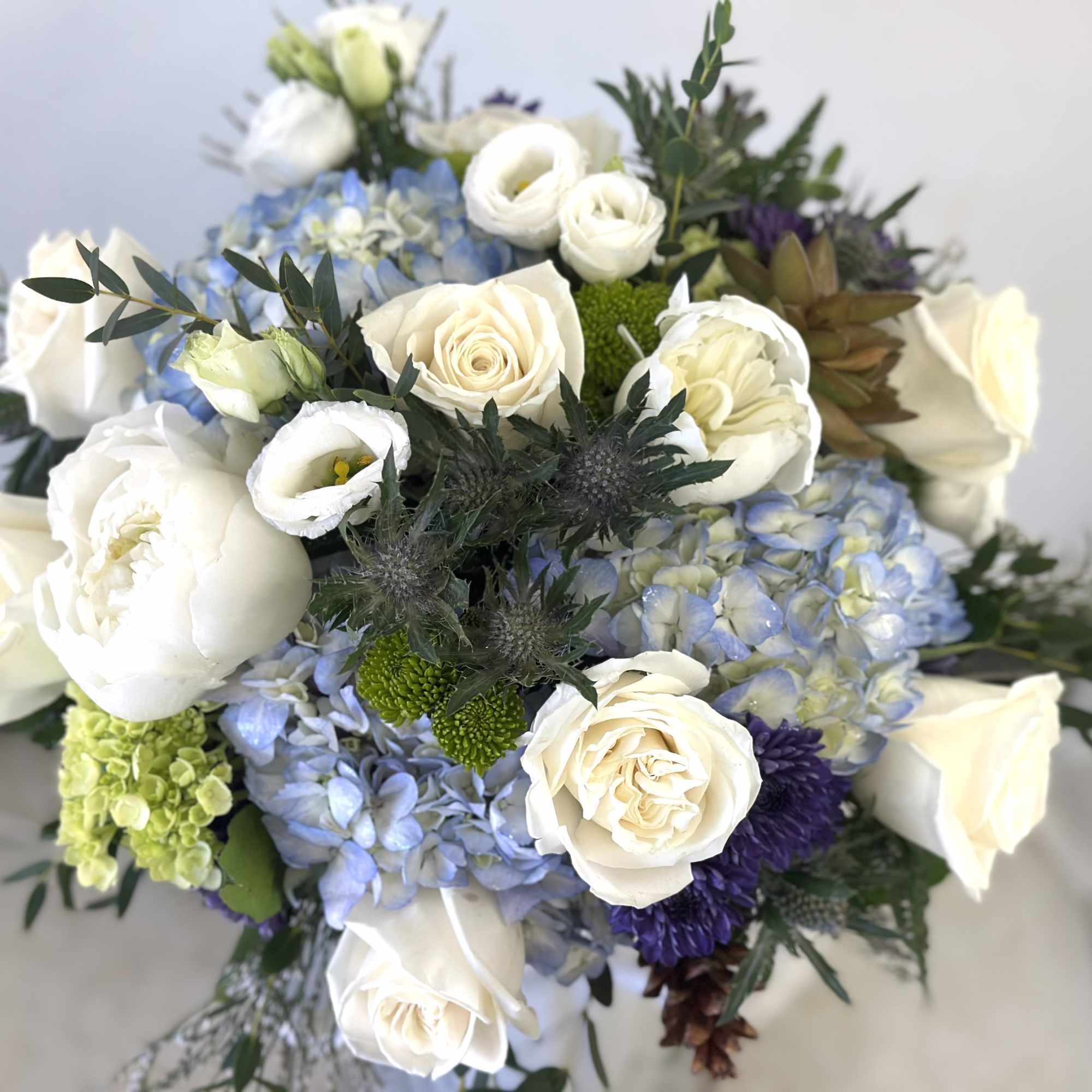 Transform your living space into a whimsical paradise with the enchanting Whisper