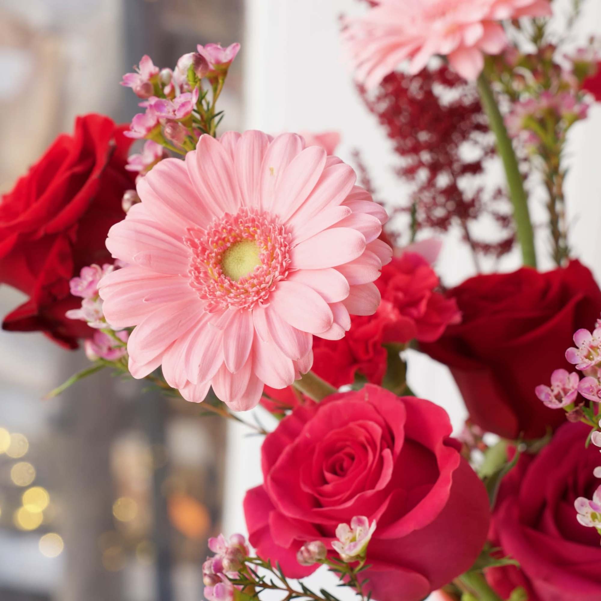 Pink gerbera daisy and red roses in a bouquet