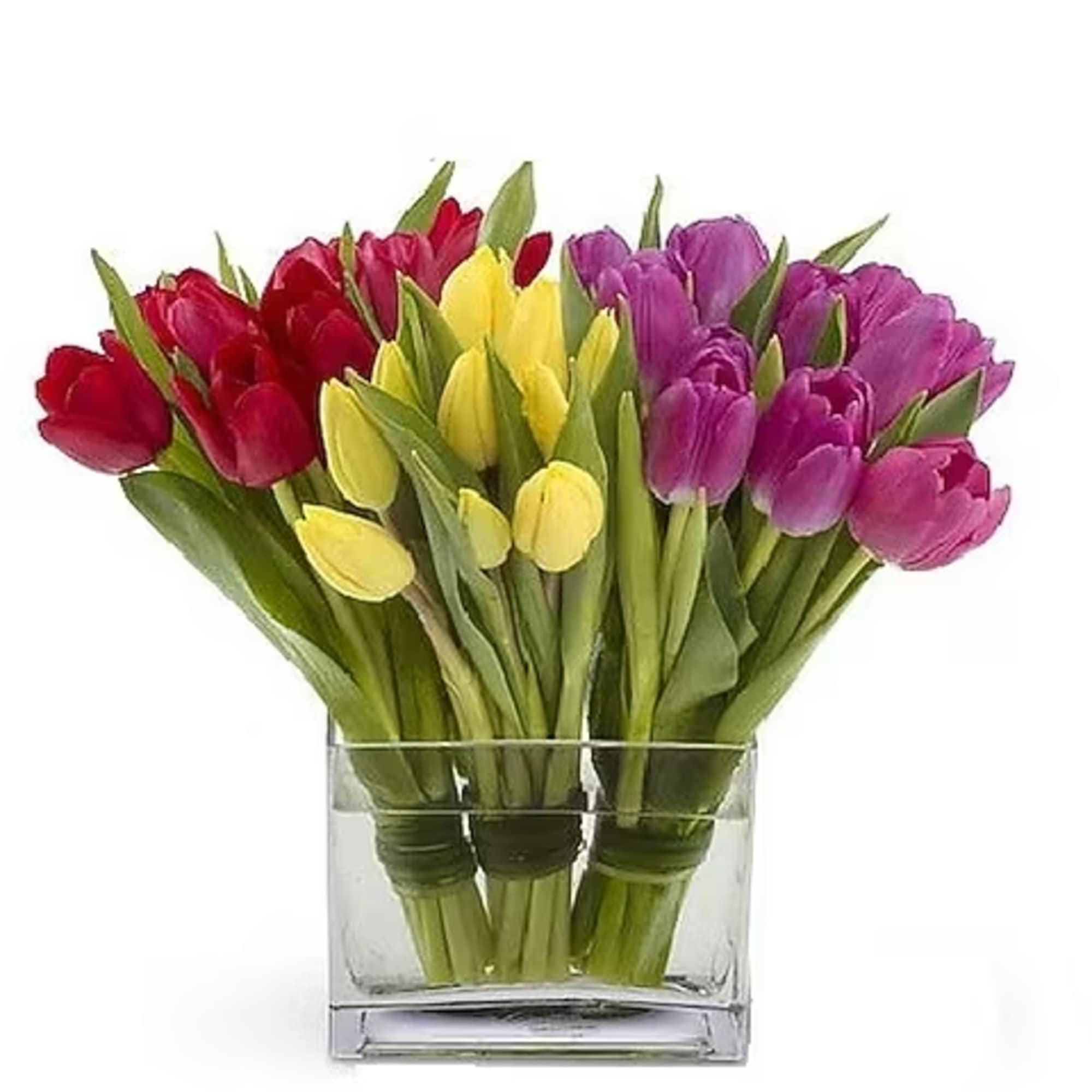 A mixture of tender tulips &ndash; bunches of ten tulips each in