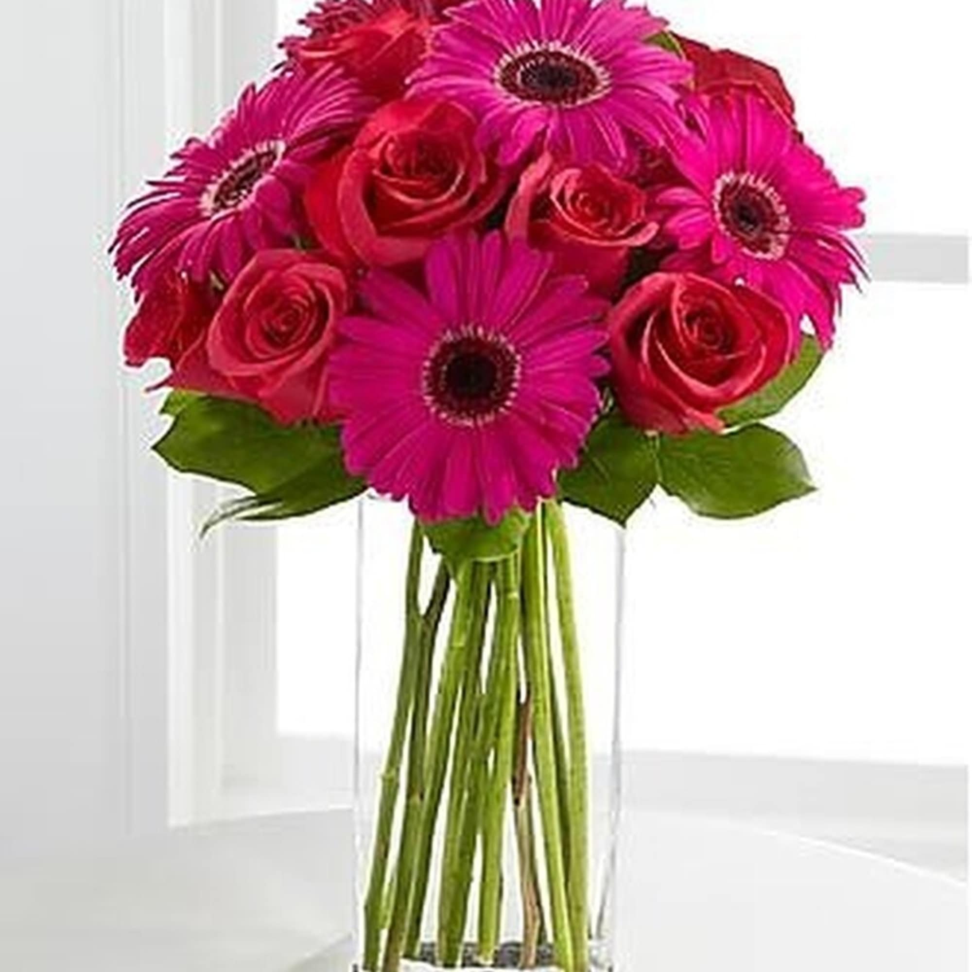 Bright pink gerbera daisies and red roses in a tall rectangular glass vase
