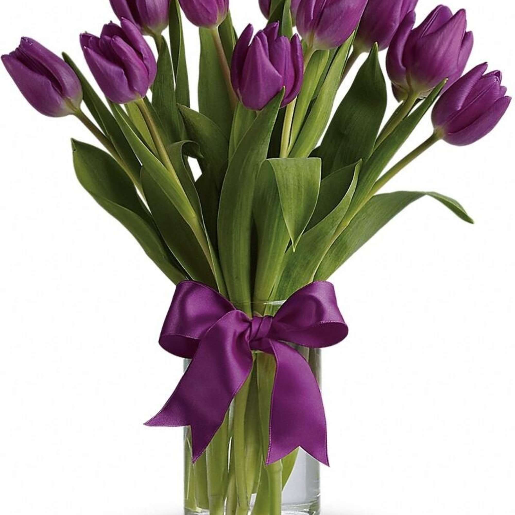 Vase of purple tulips with a matching purple satin bow around a clear glass cylinder.