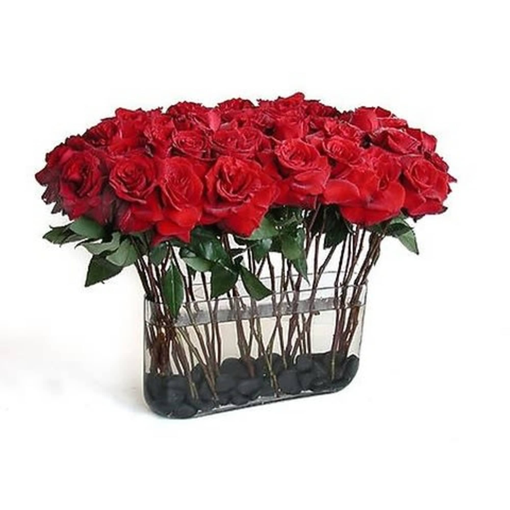 Premium Ecuadorian roses designed in a clear glass oblong vase lined with