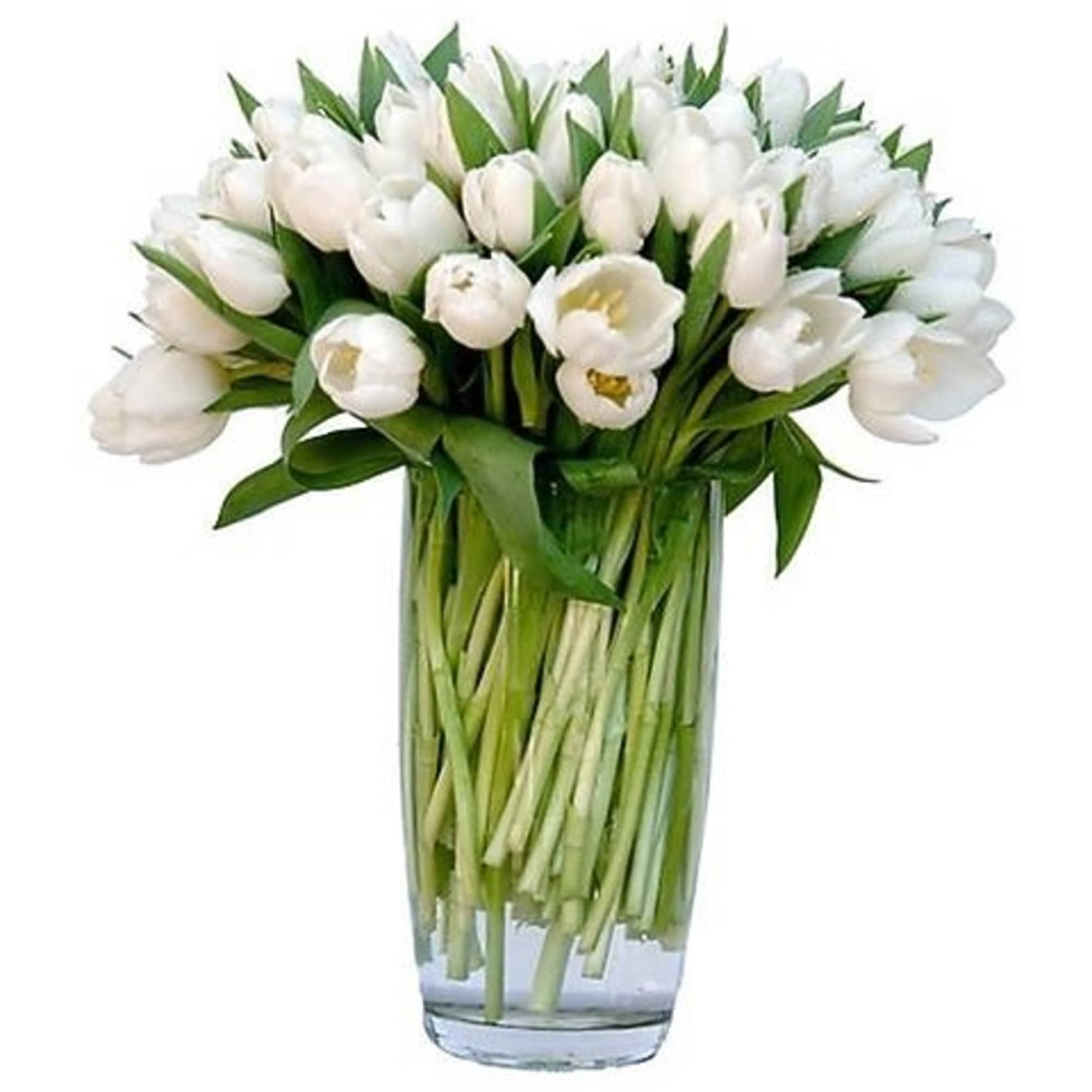 Beautiful in its simple, contemporary way; Clusters of all white tulips in