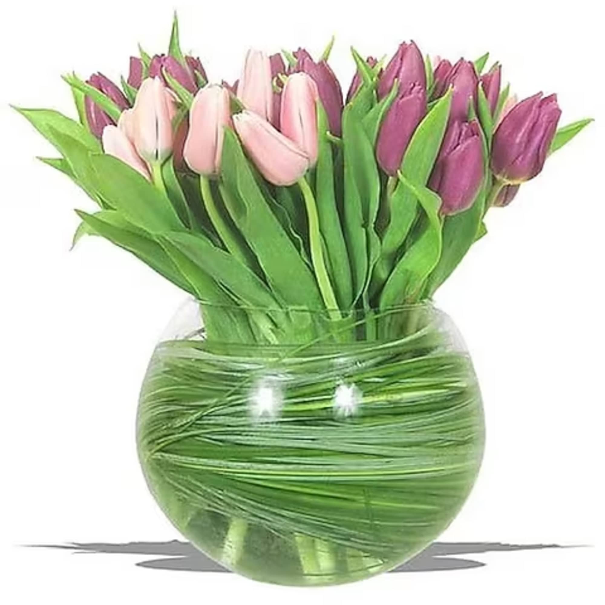 Tulips, tulips and more tulips in a bubble bowl glass vase w/bear