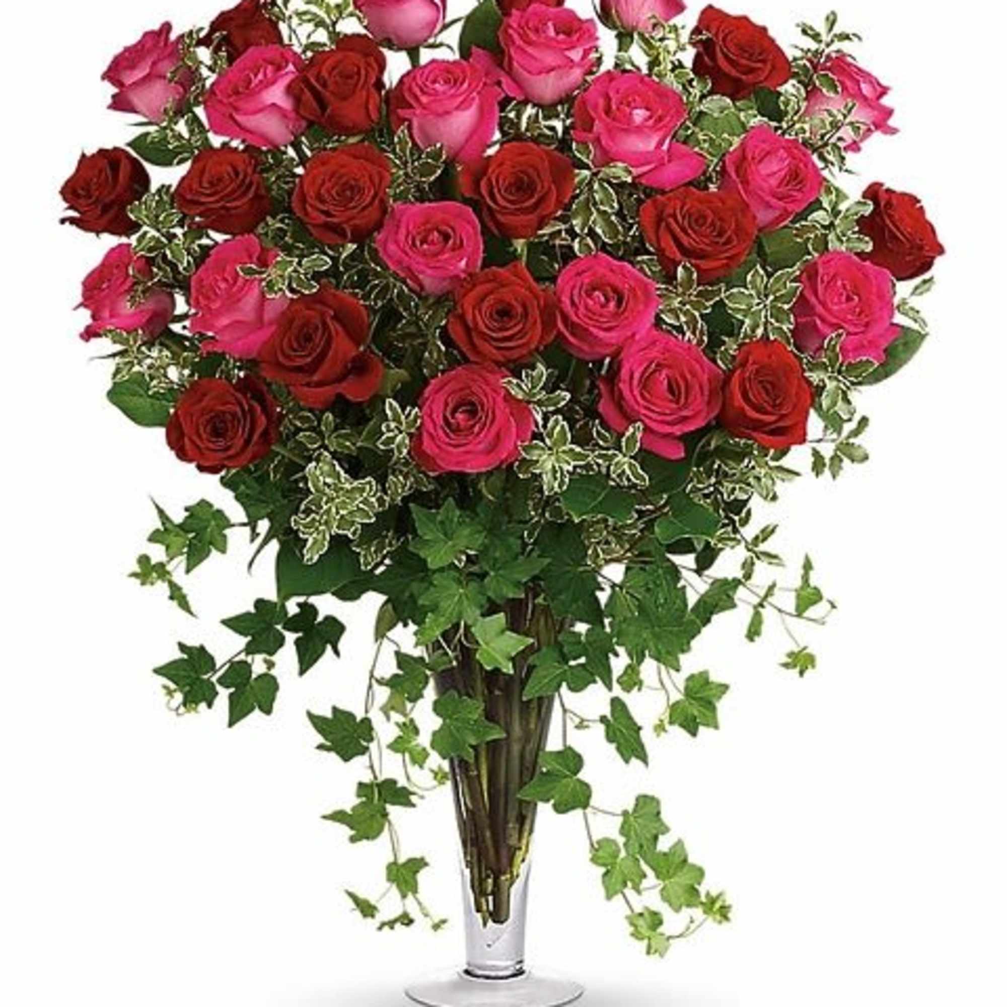 Make a statement! This lush arrangement of hot pink roses and gracefully