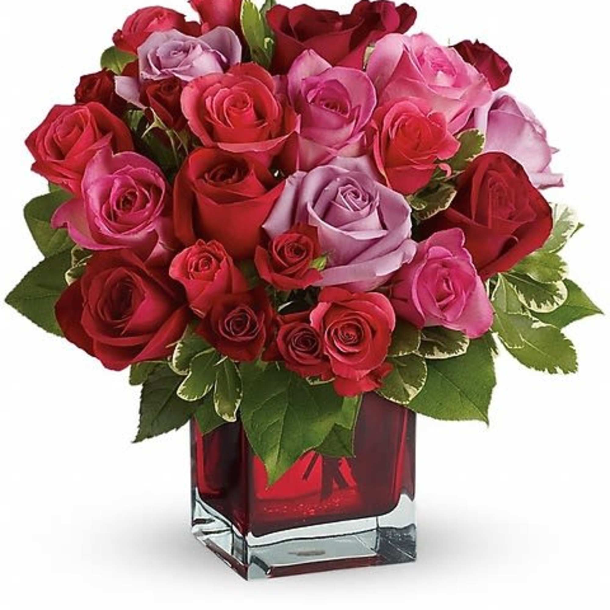 Romantic roses in passionate shades of red, pink and purple express love