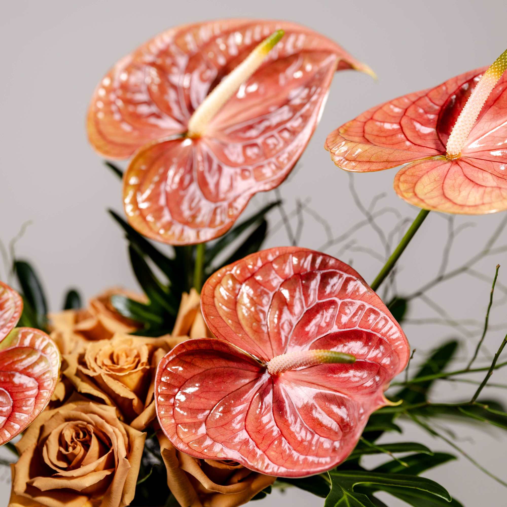 Arrangement of pink anthuriums and tan roses