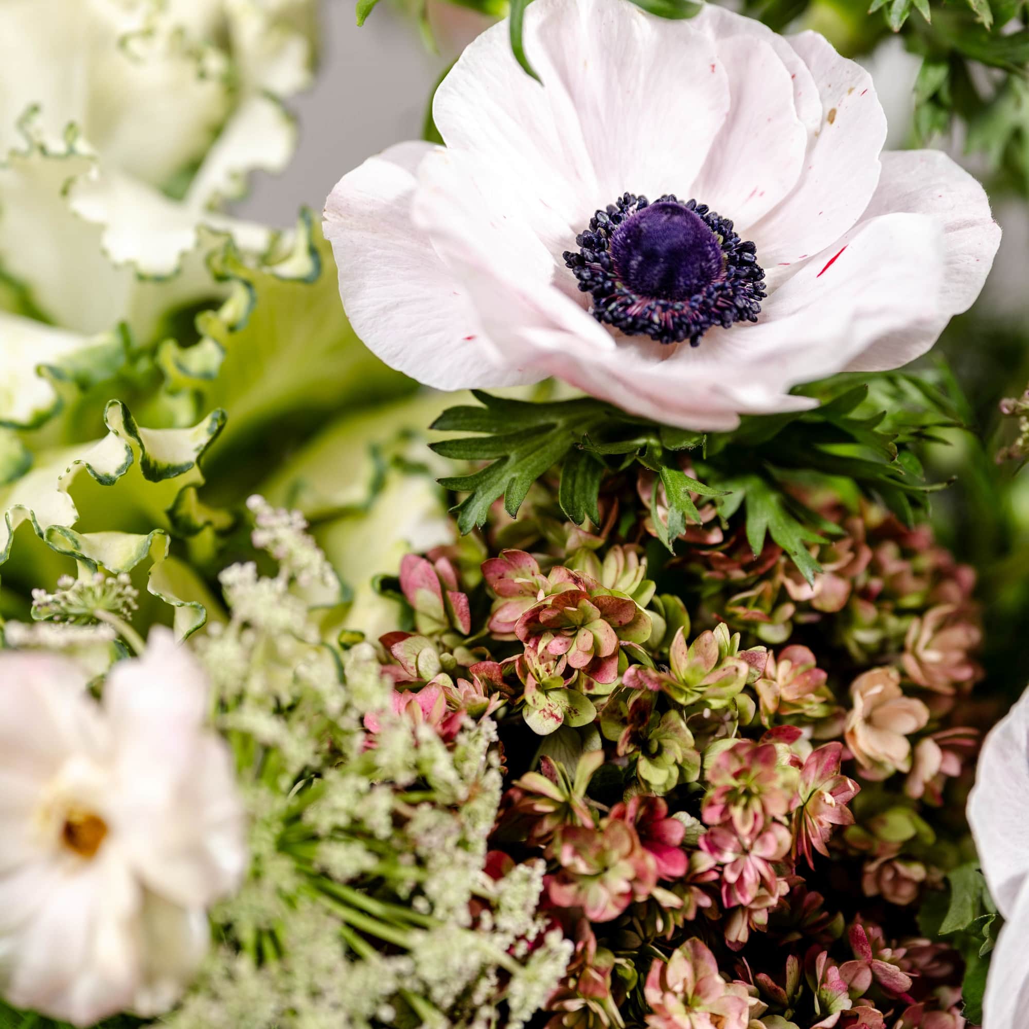 Close-up of pale pink anemones with dark centers and mixed greenery