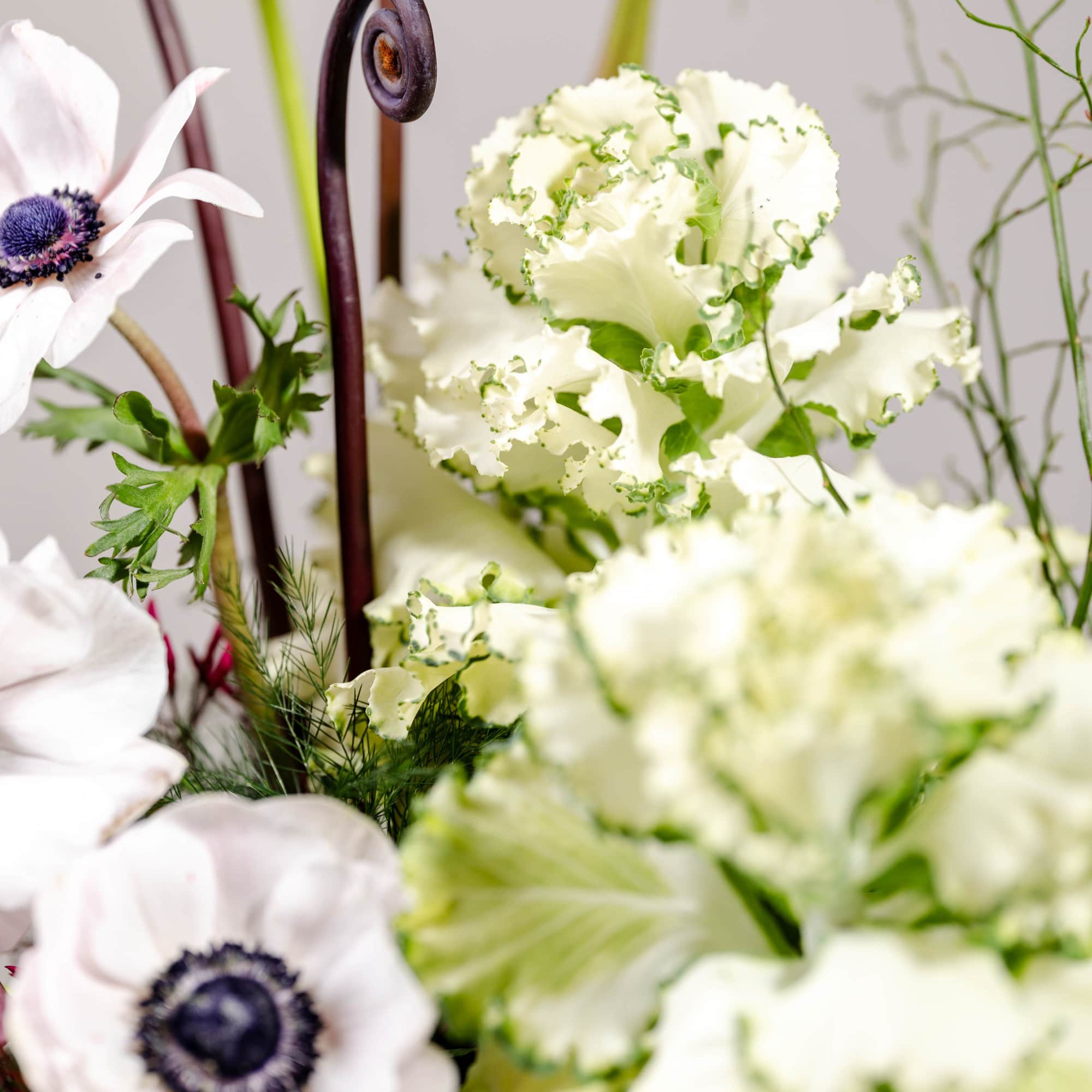 Modern arrangement with white anemones, frilled white-green blooms, and dark curled branches
