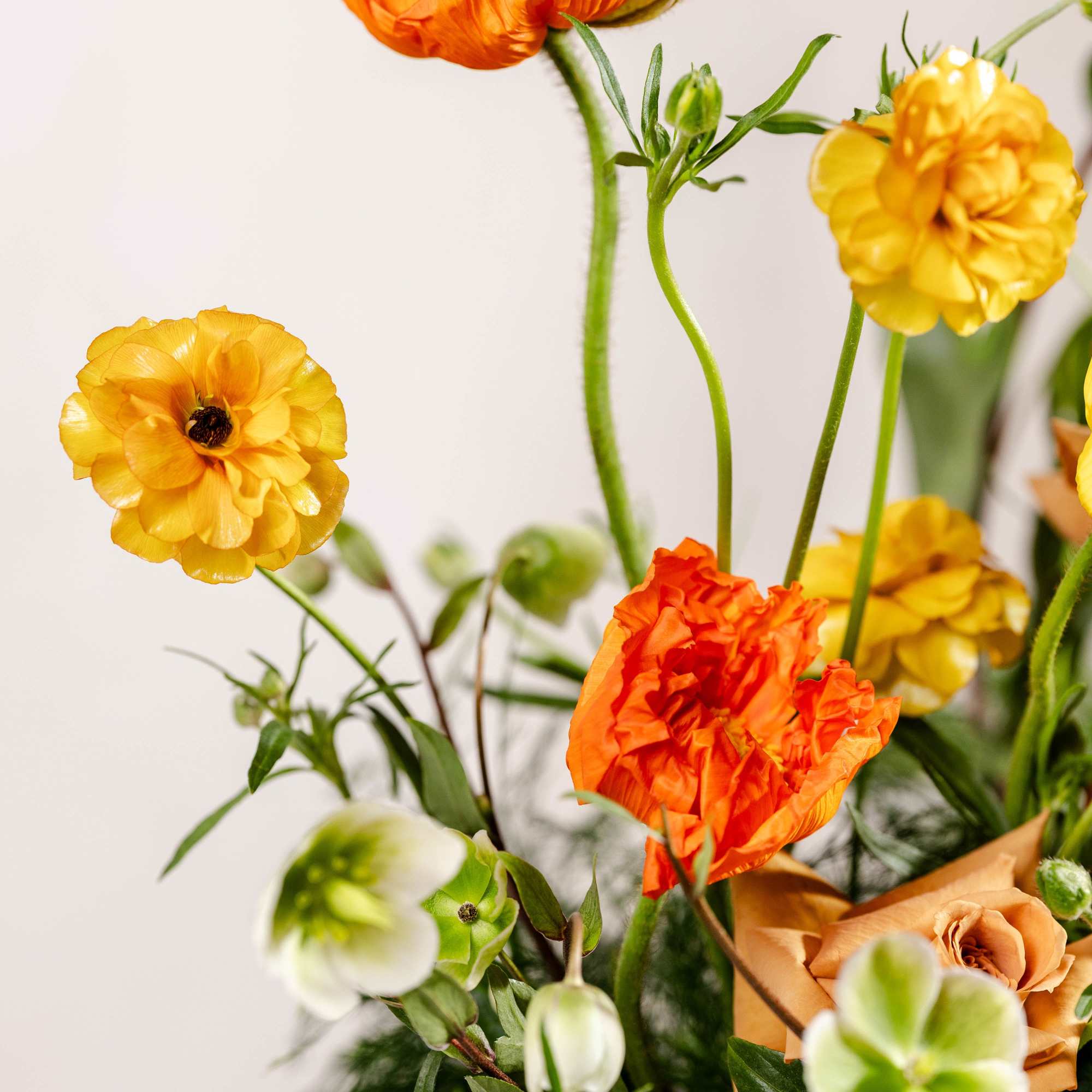 Orange and yellow ranunculus flowers in a bouquet