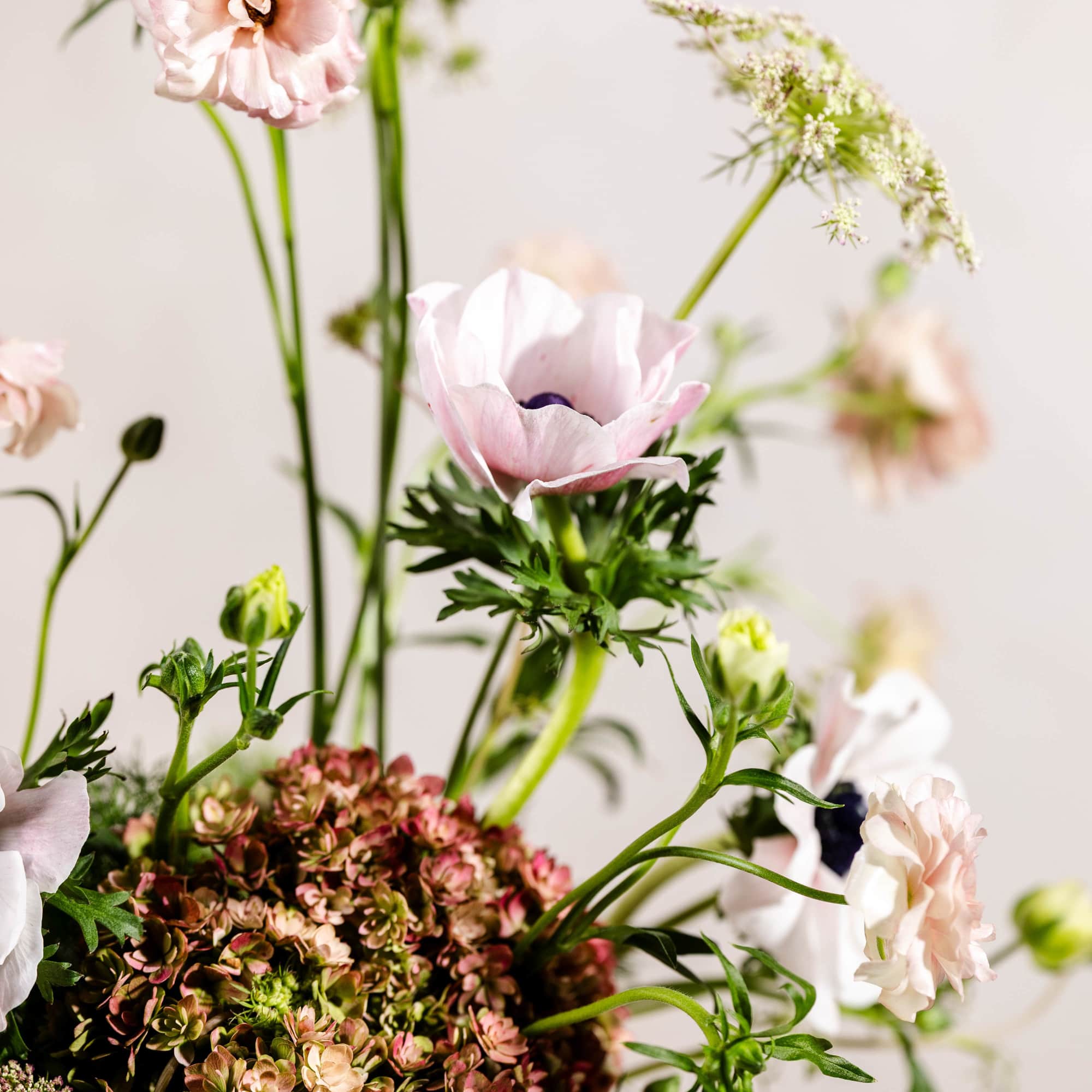 Soft pink flowers in a low arrangement with tall stems and green filler