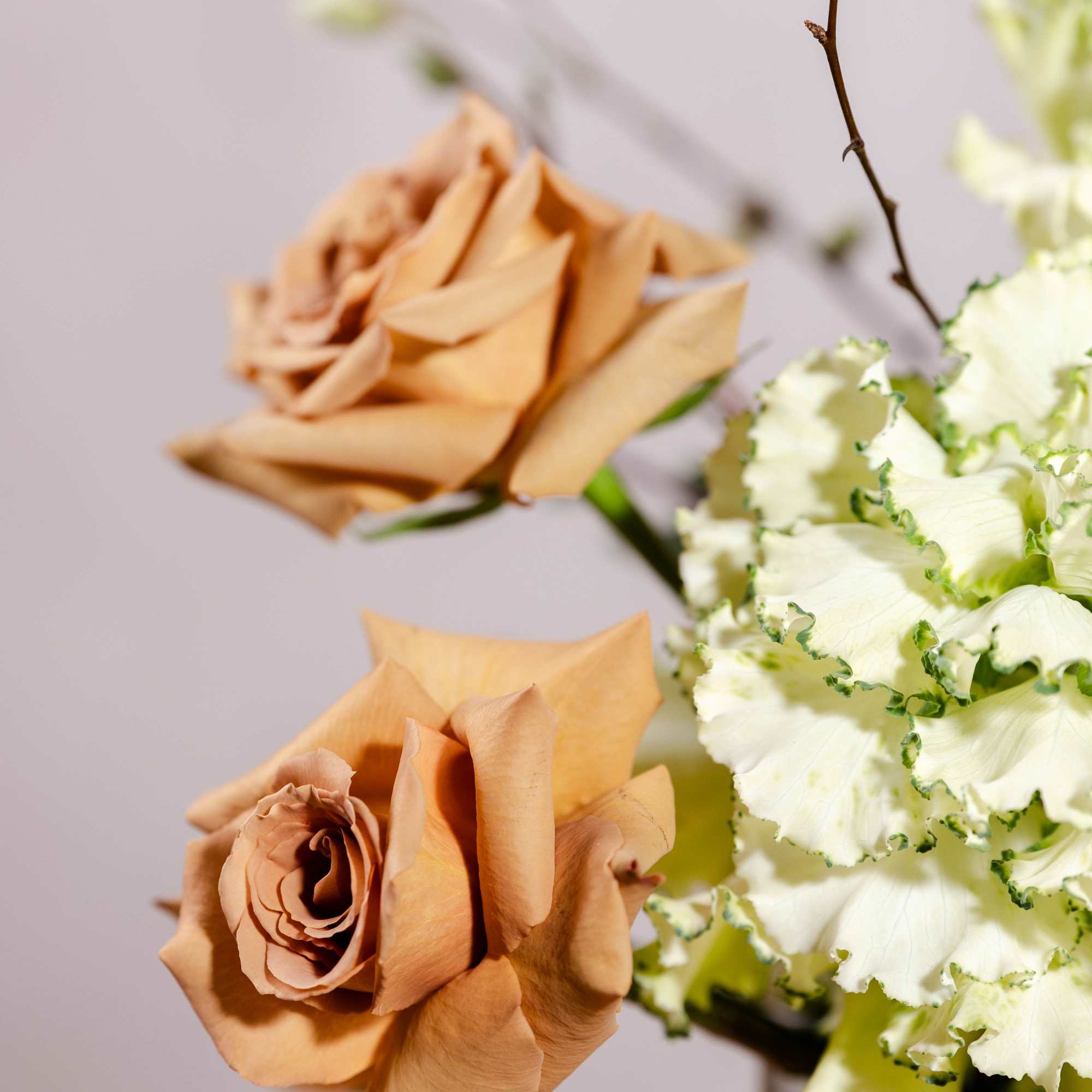 Peach roses and white ruffled flowers in a vase