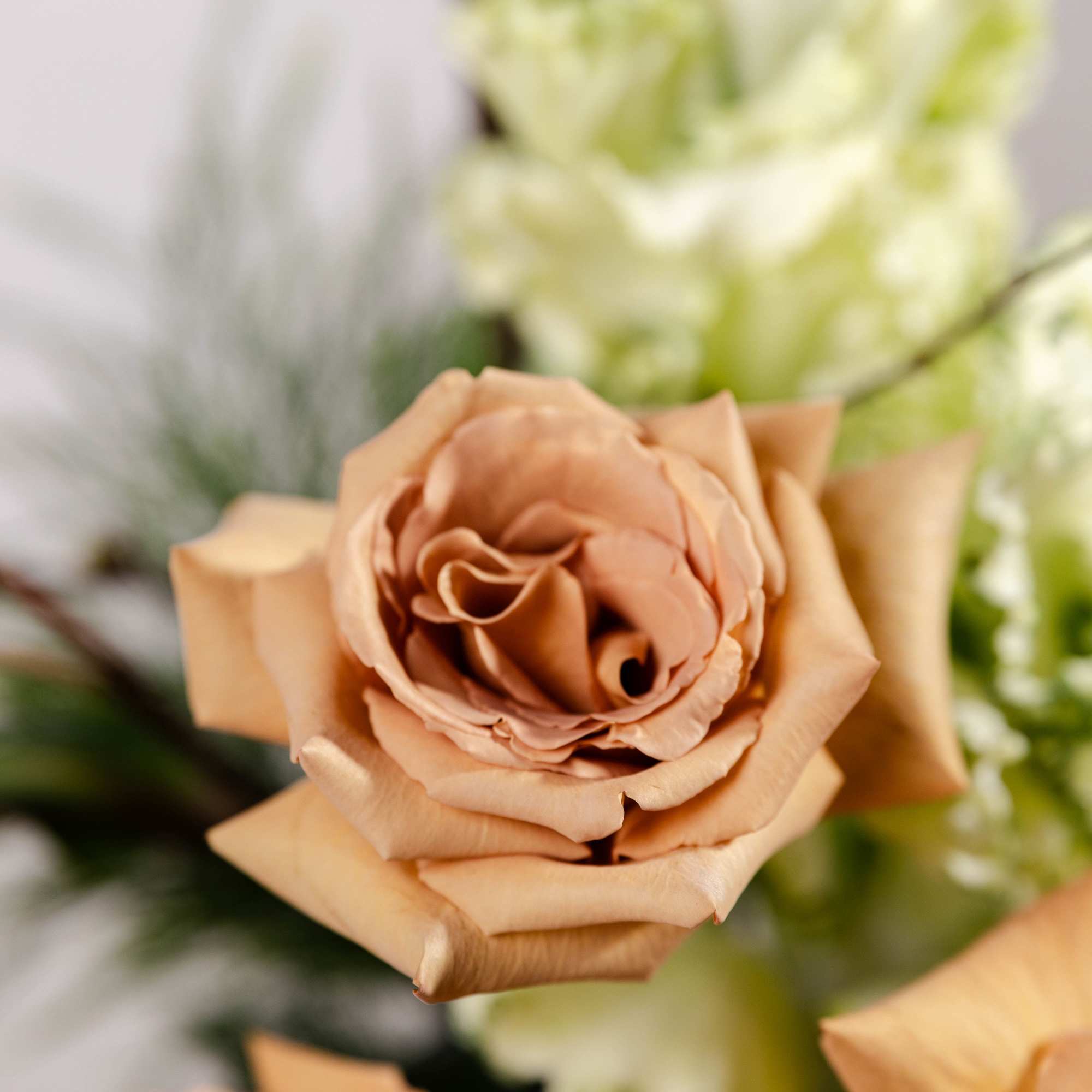 Close-up of peach roses with pale green flowers in the background