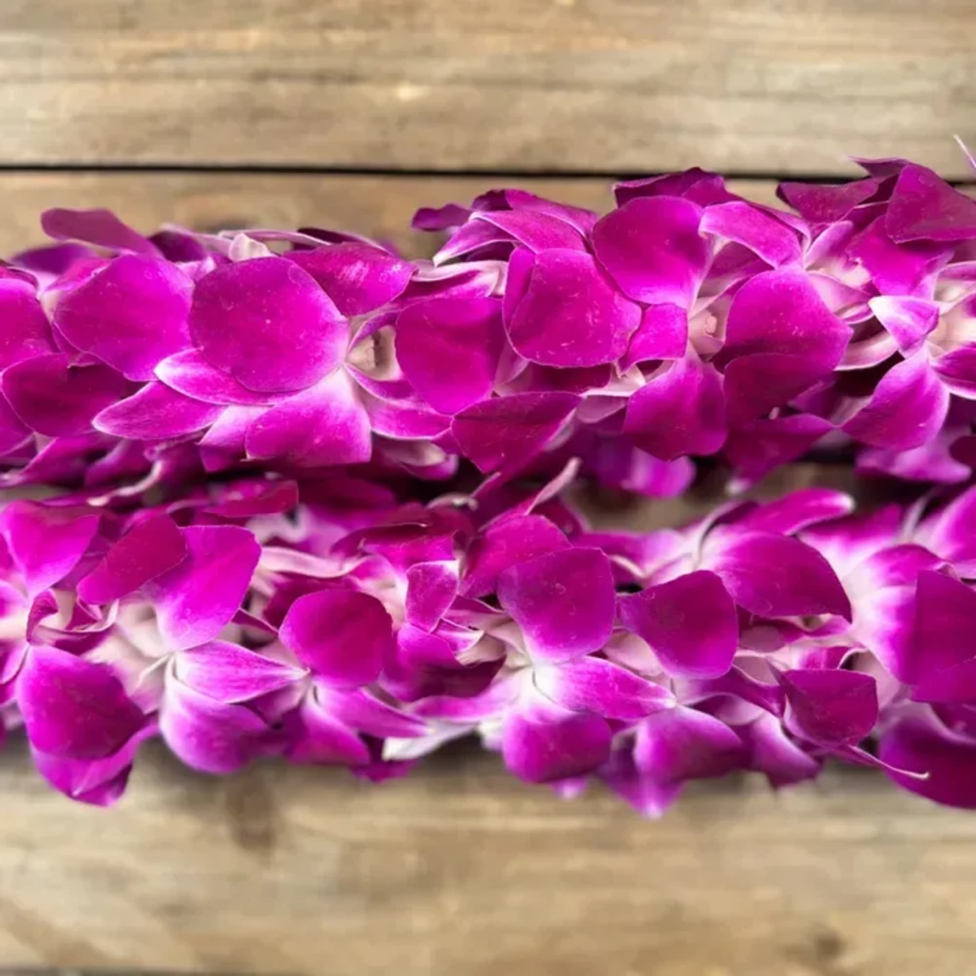 Our stunning Dendrobium Orchid Leis are the perfect accessory for any special