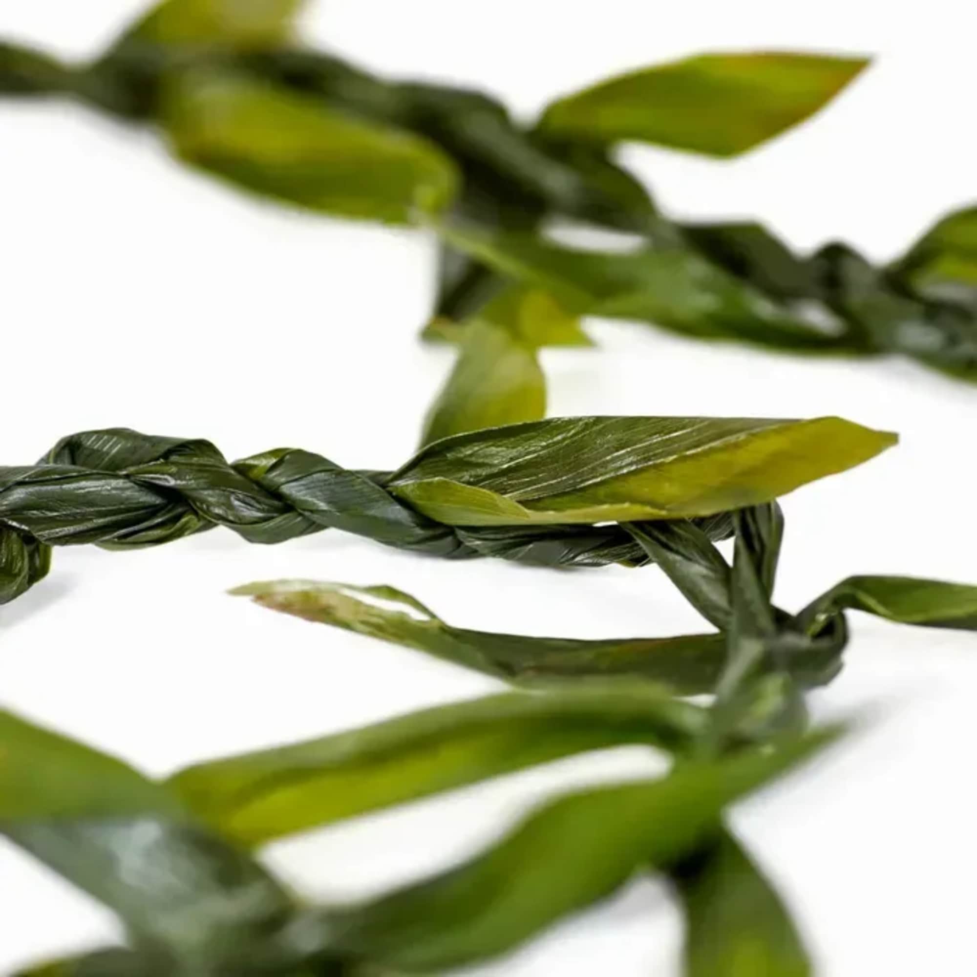 Celebrate life&rsquo;s special moments with the timeless beauty of a traditional Ti