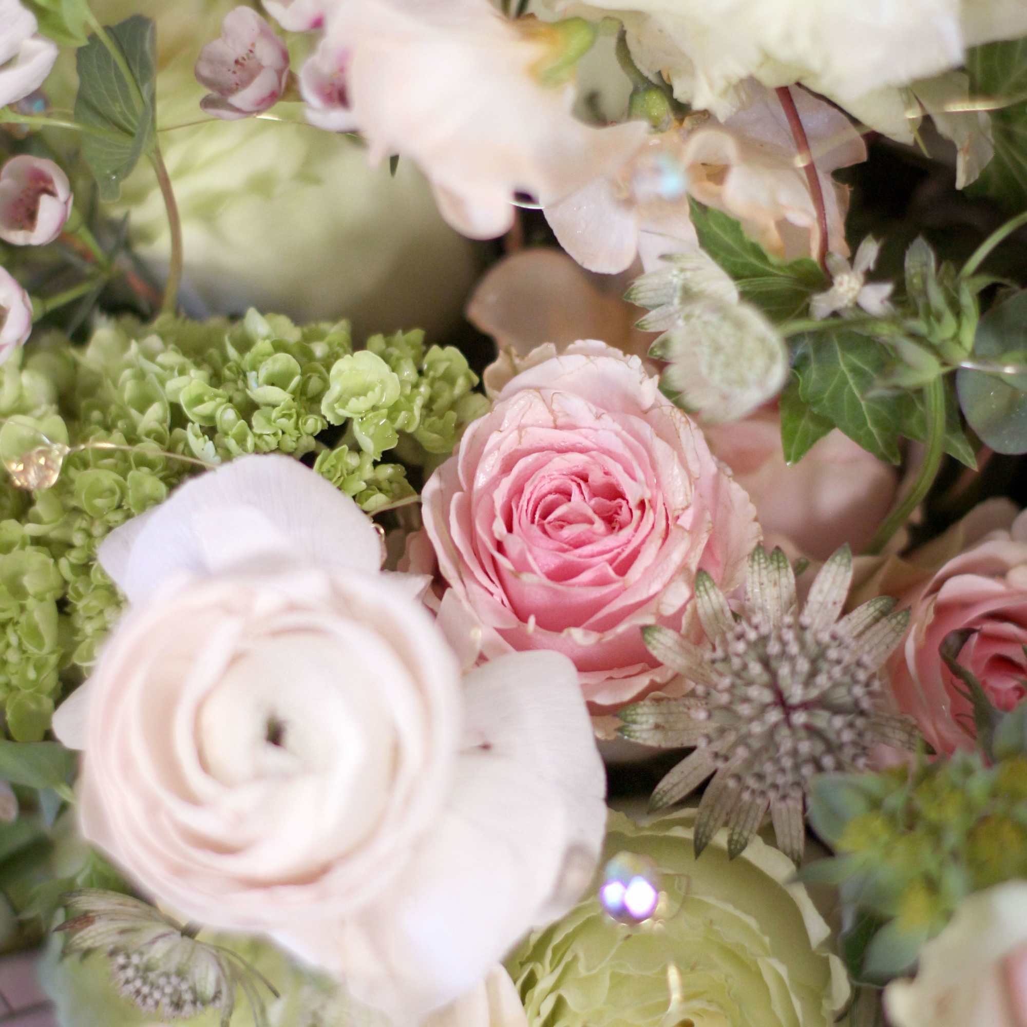 Pic shown as deluxe size. Features Blushes roses, ranunculus, sweet peas with