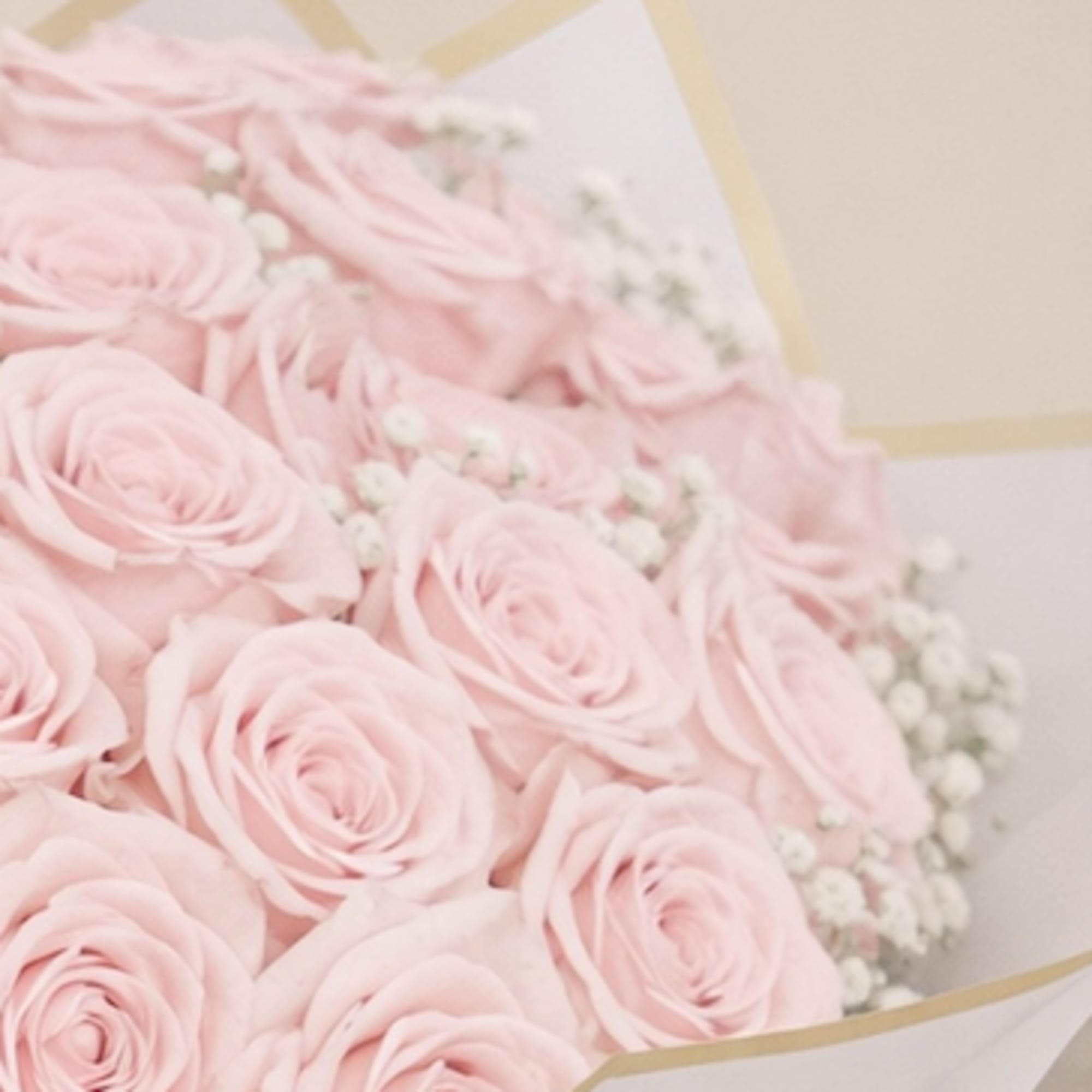 Bouquet of pale pink roses with small white filler flowers