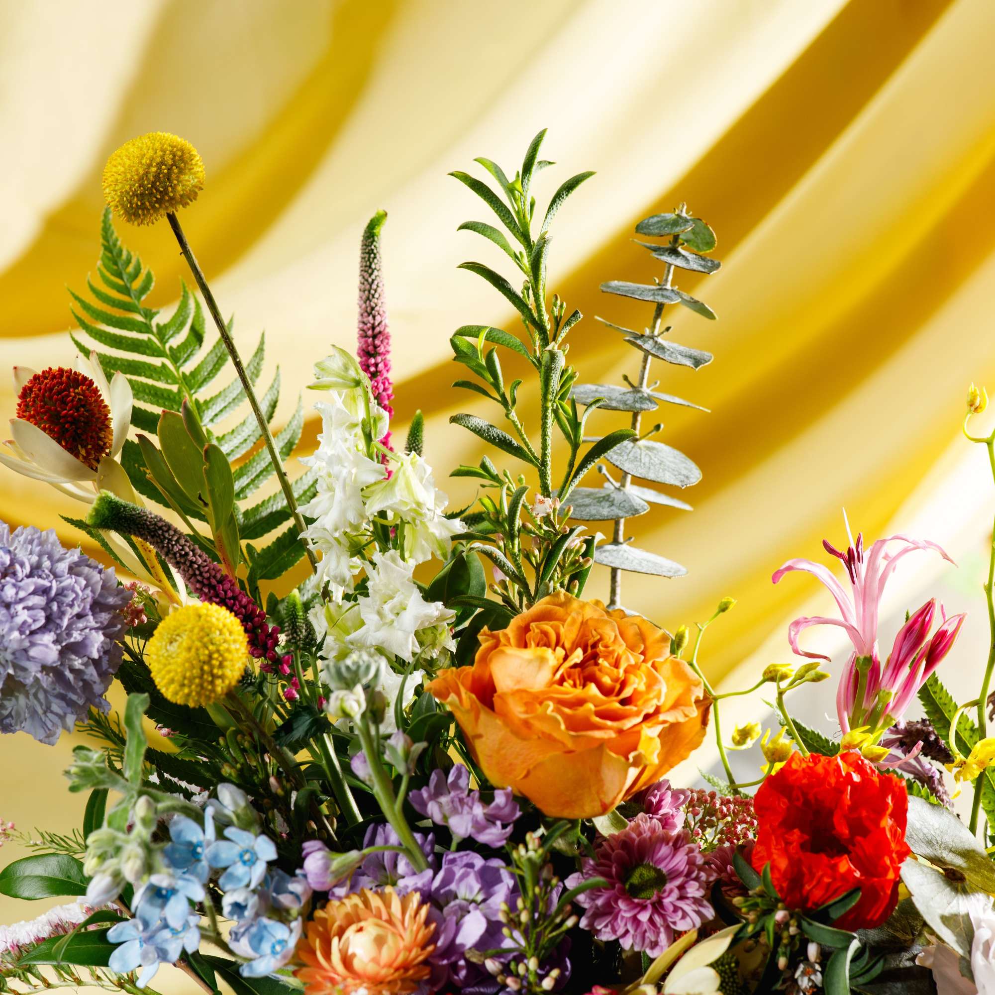 Colorful mixed flower arrangement with orange rose, red blooms, and assorted pastels against a yellow backdrop