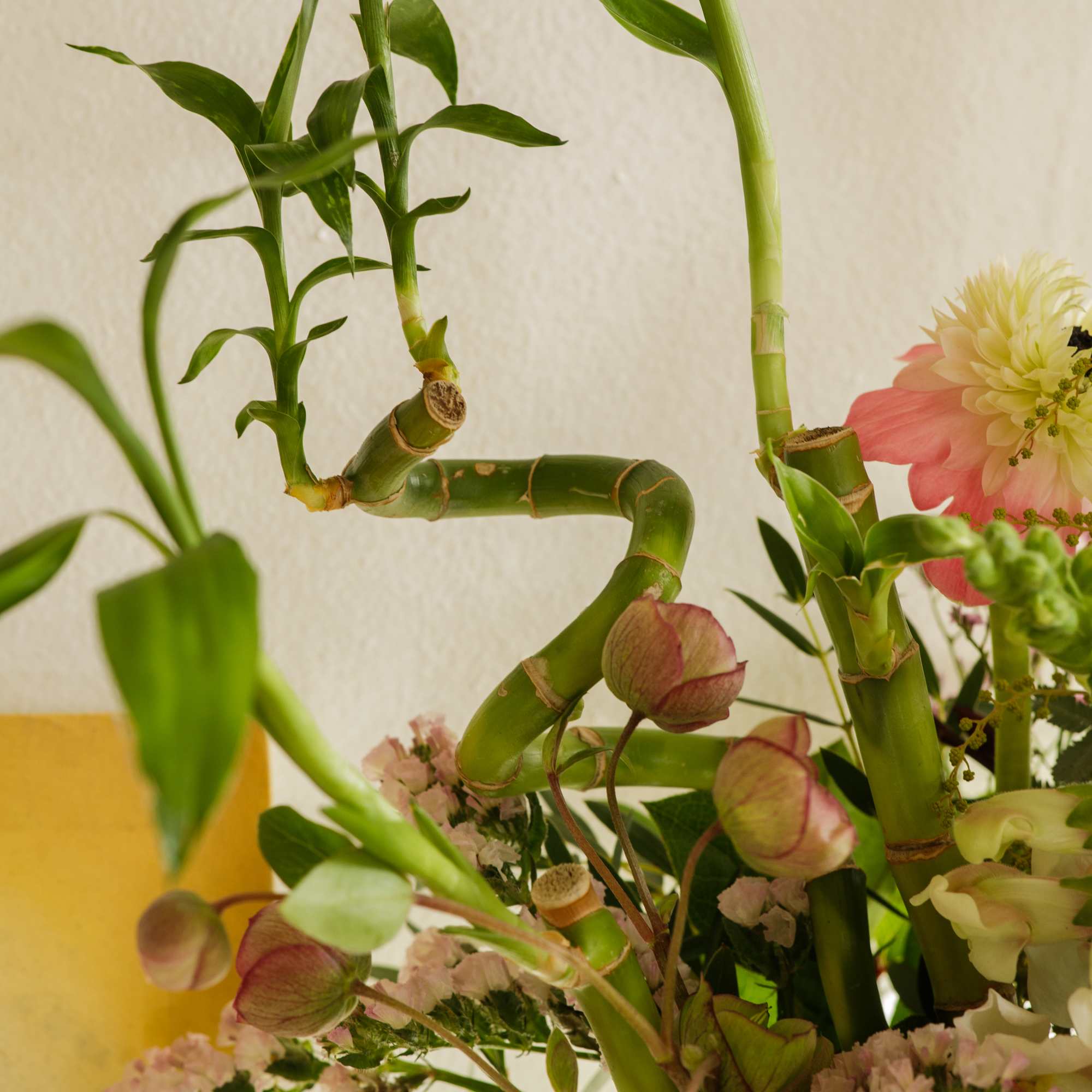 Tall arrangement of curling bamboo stalks with peach and pink flowers