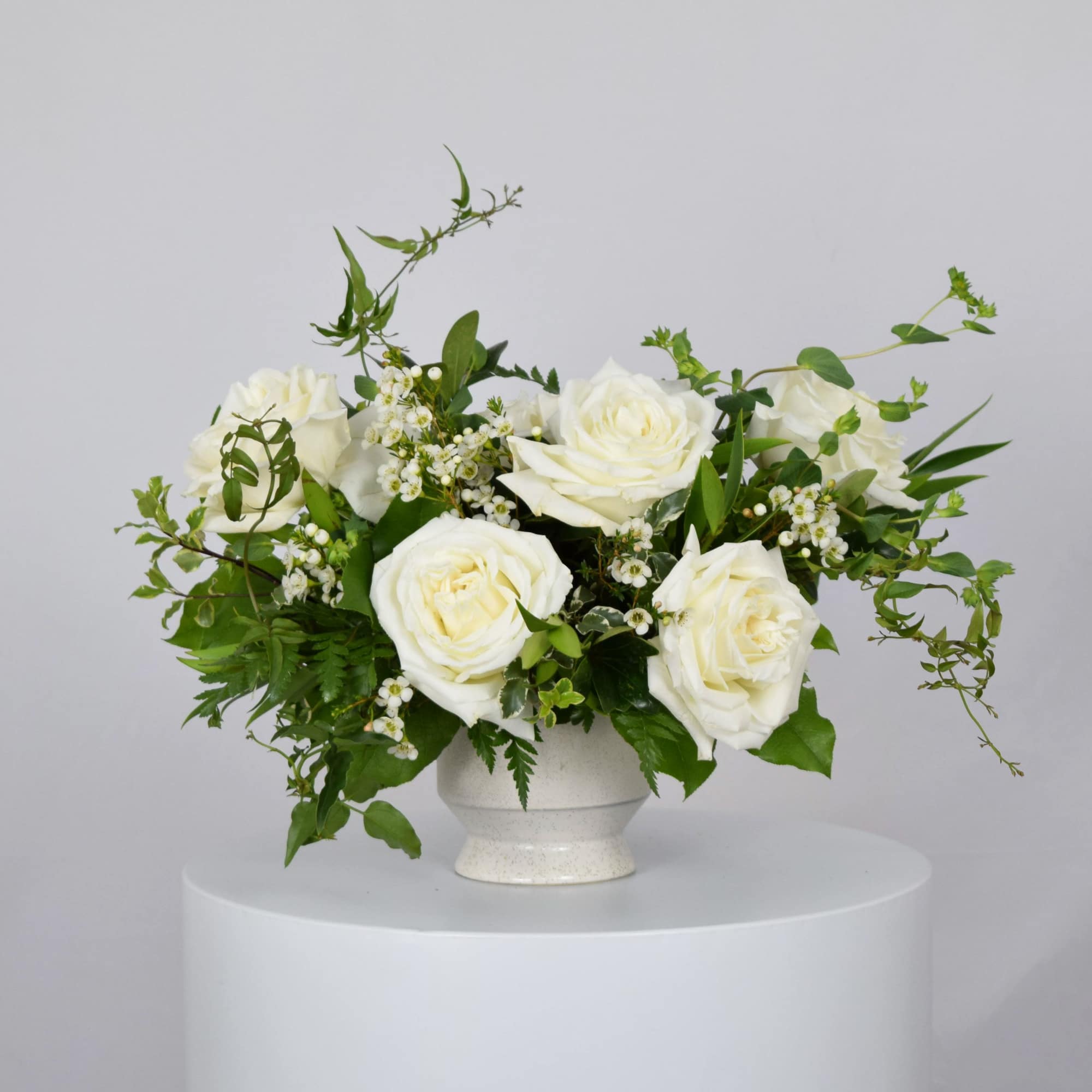 White roses arranged in a white vase with greenery