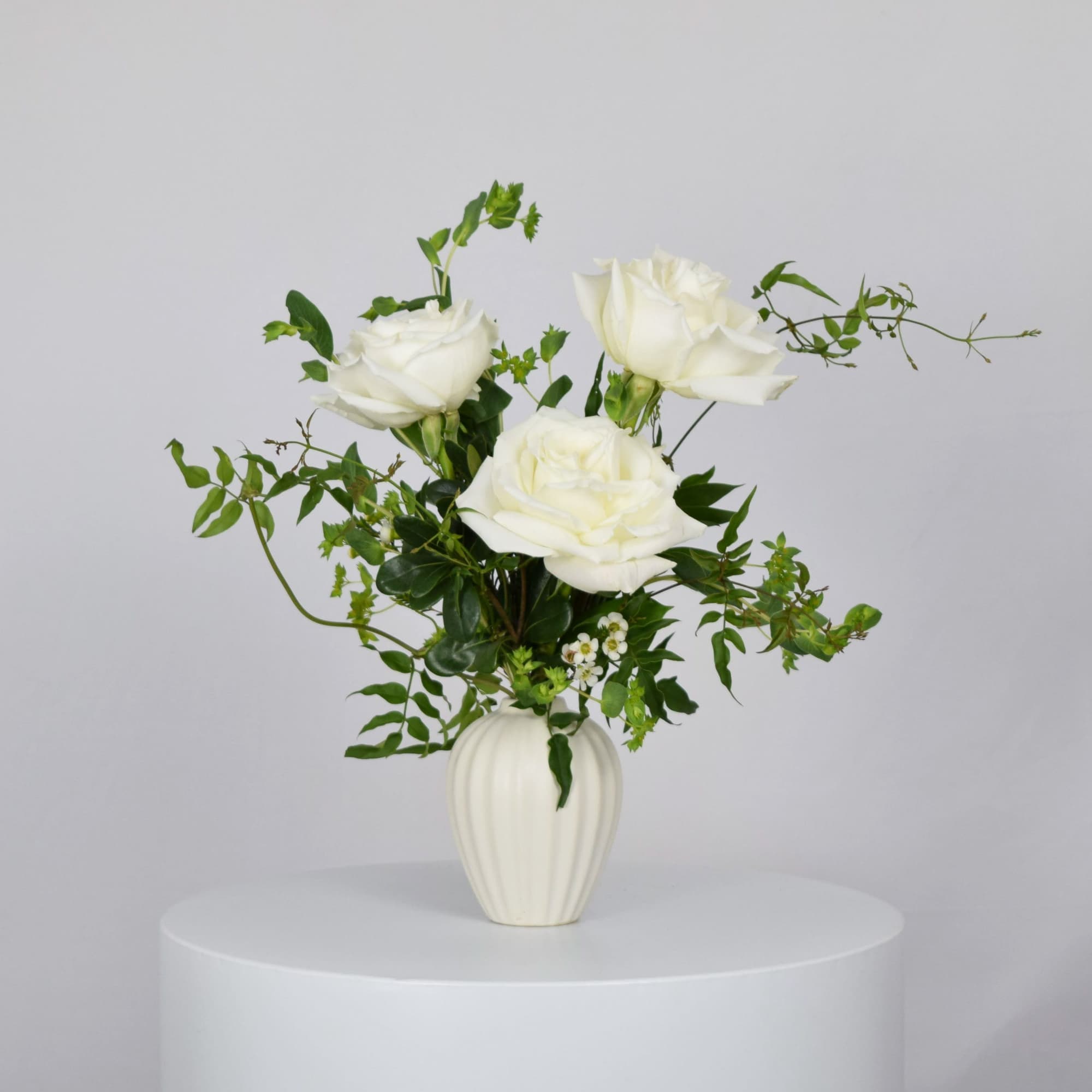 White roses in a white vase with airy greenery