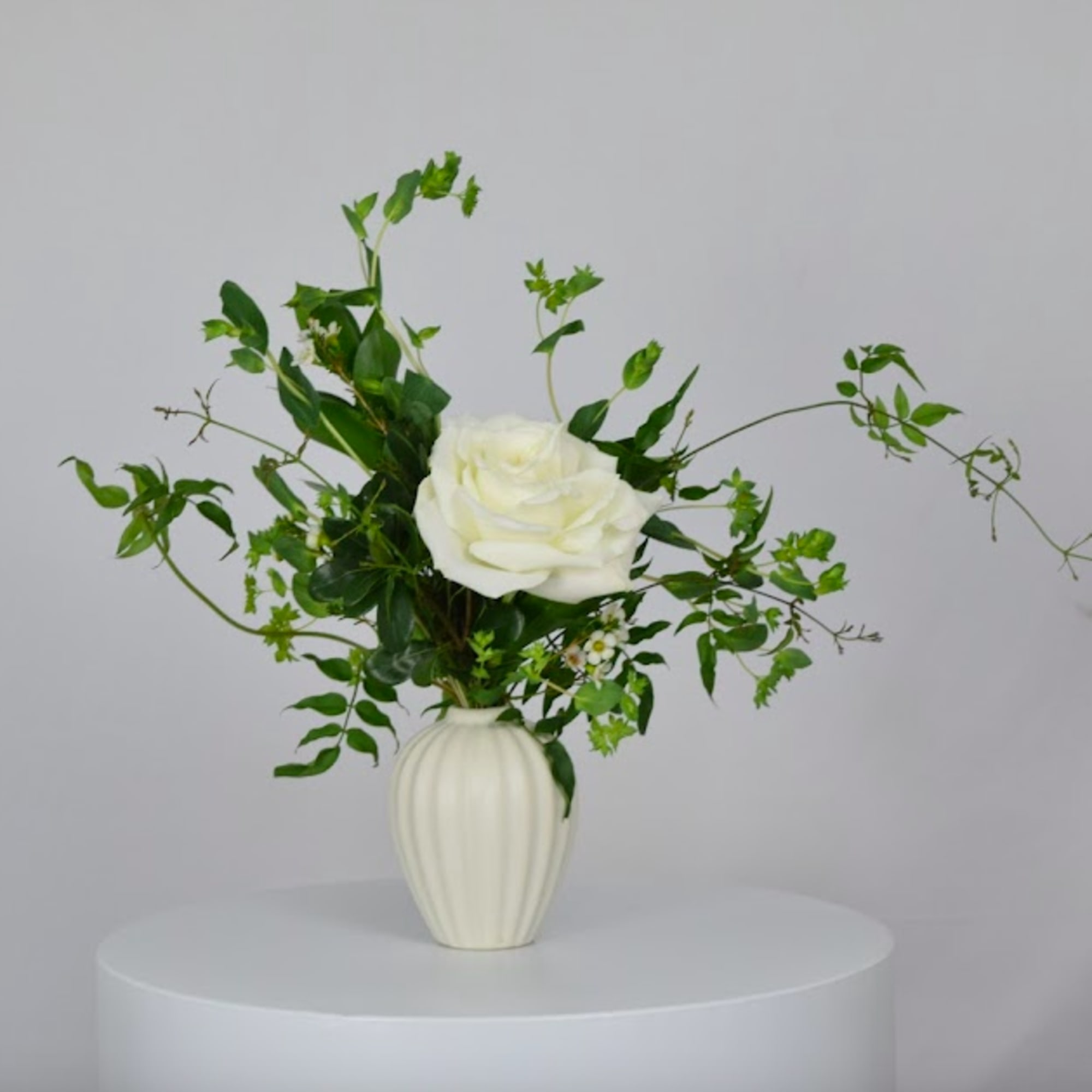 White rose arrangement in a white vase with airy greenery