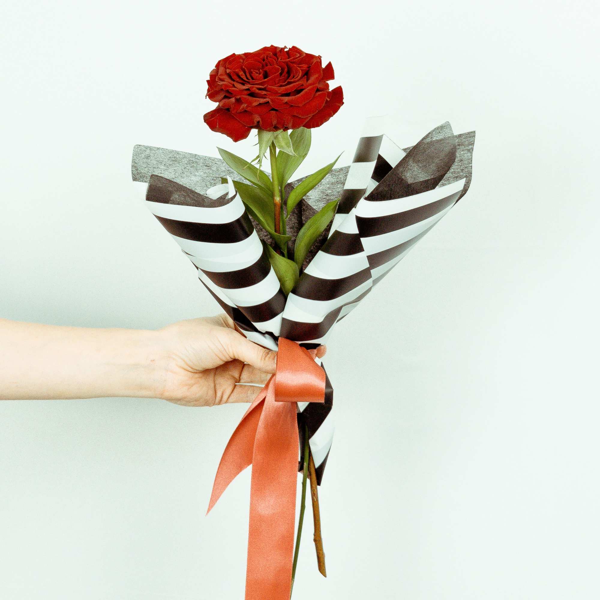 Single red rose wrapped in striped paper with a ribbon