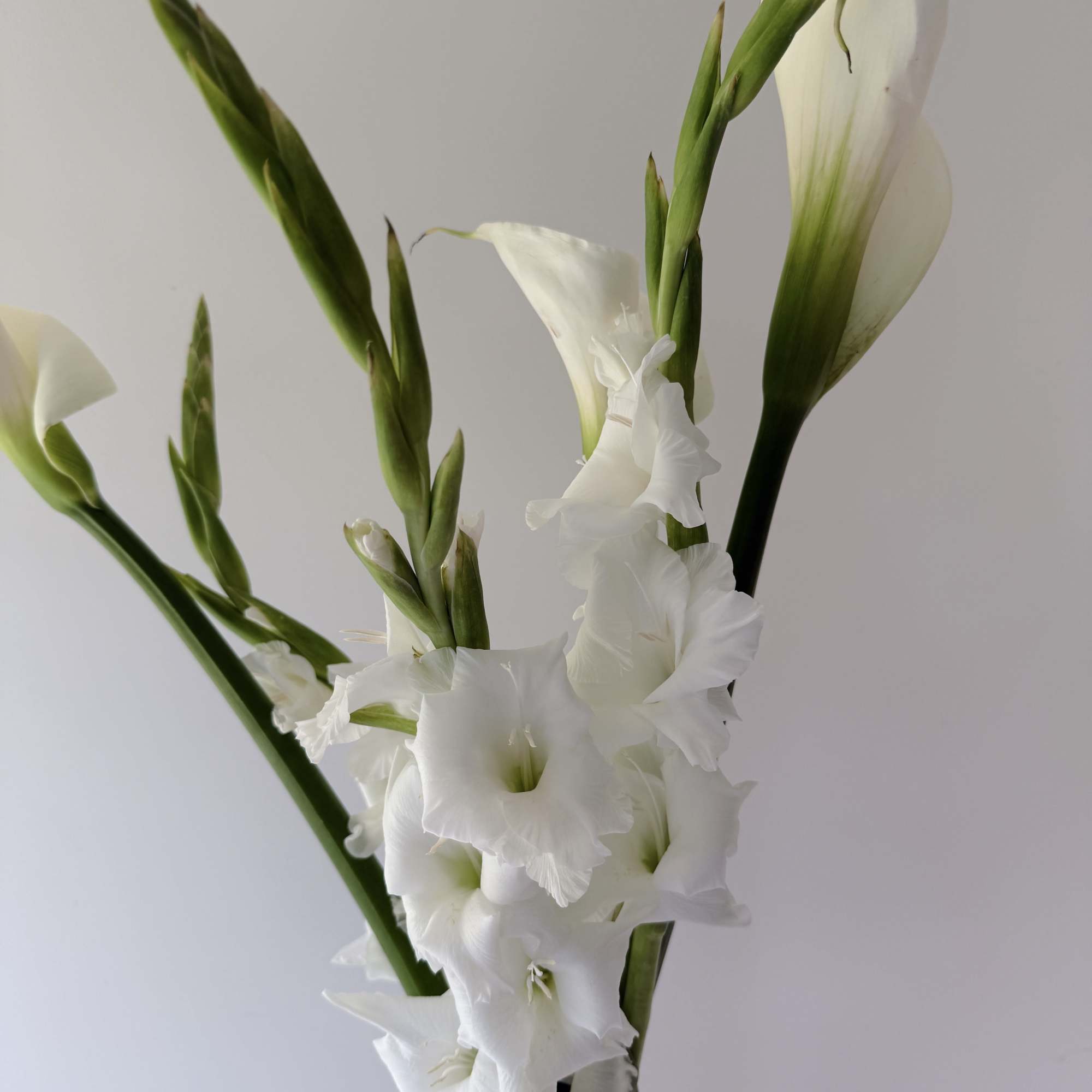 This floral design features white calla lilies and white gladiolus, two blooms