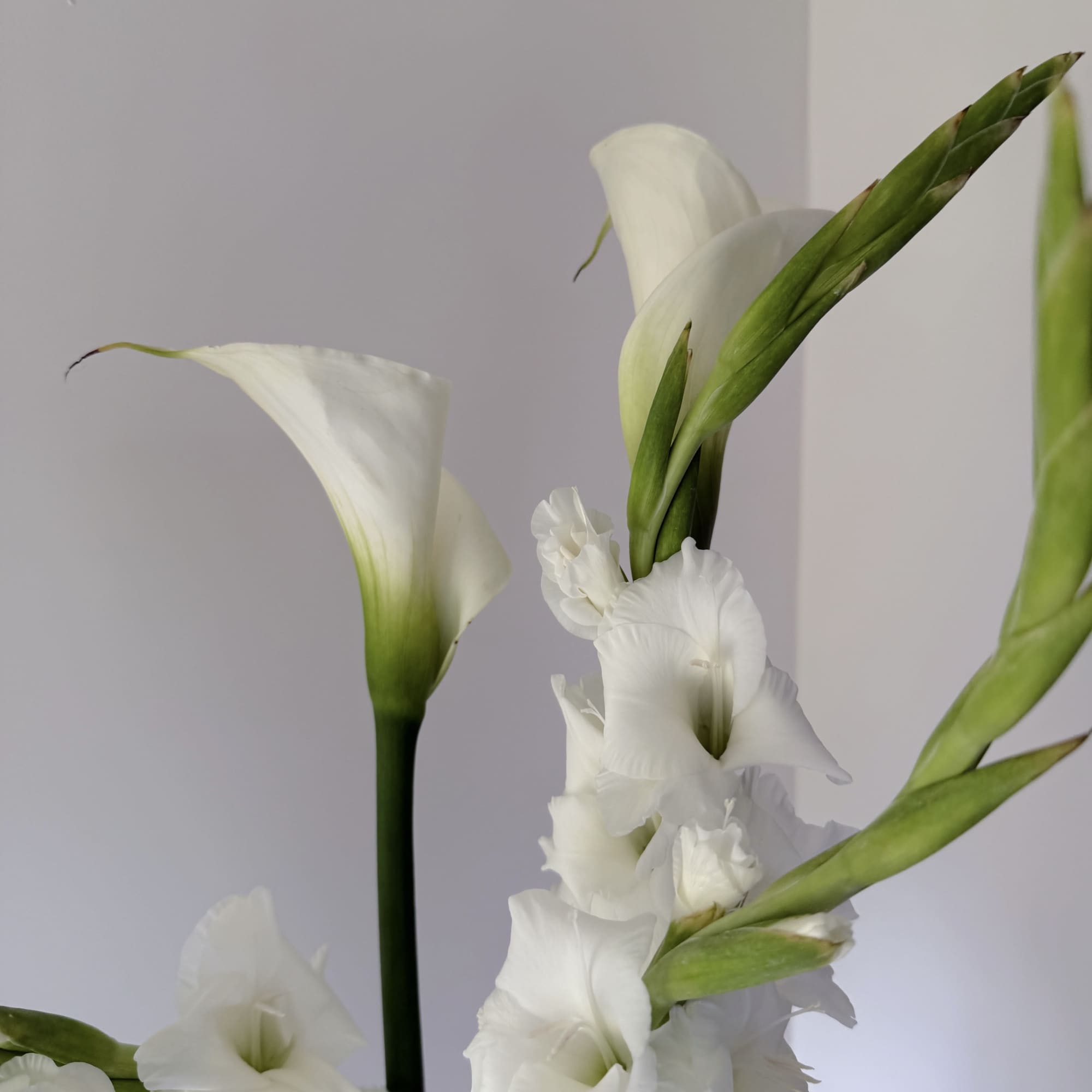 This floral design features white calla lilies and white gladiolus, two blooms
