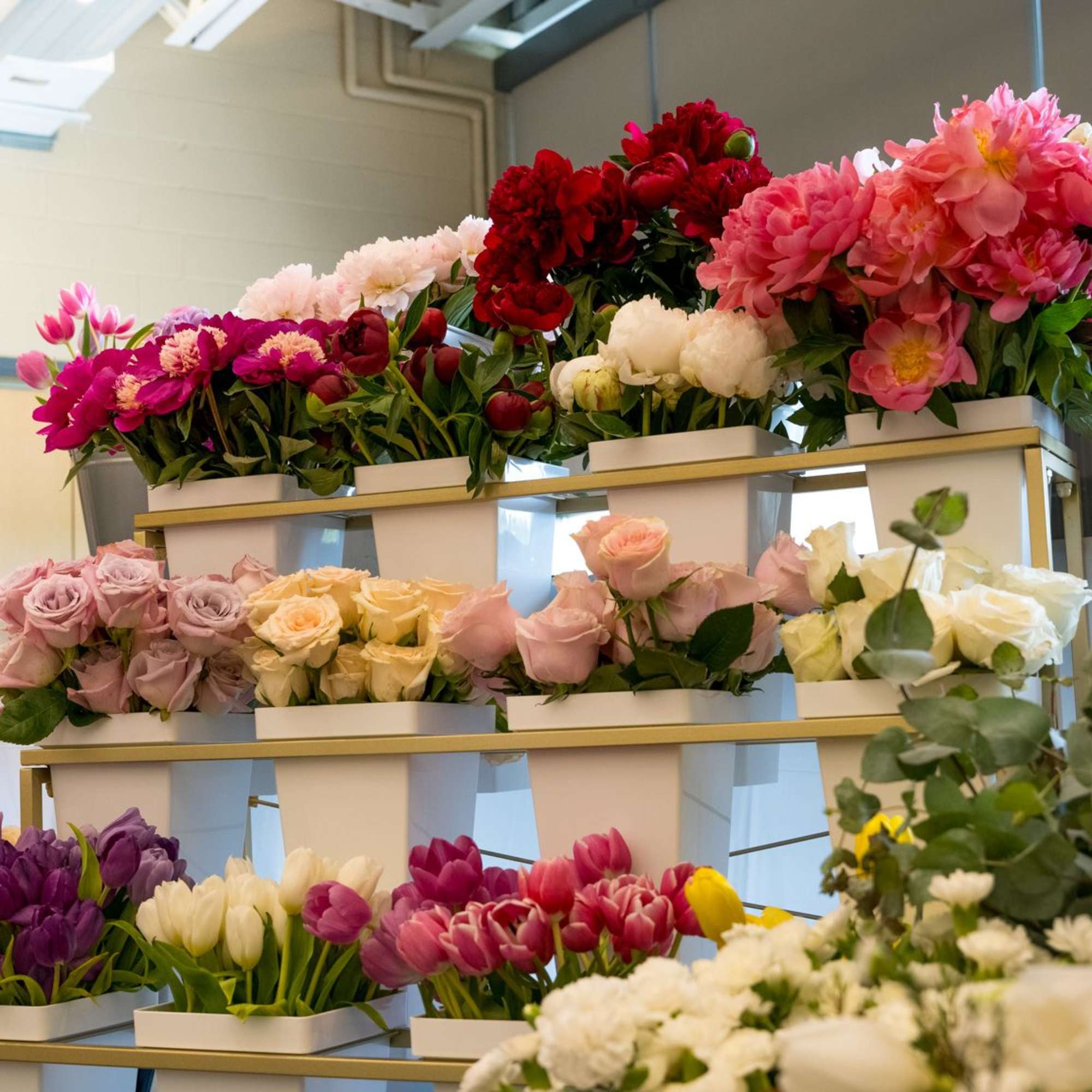 Rows of colorful flower bouquets arranged on shelves in a room
