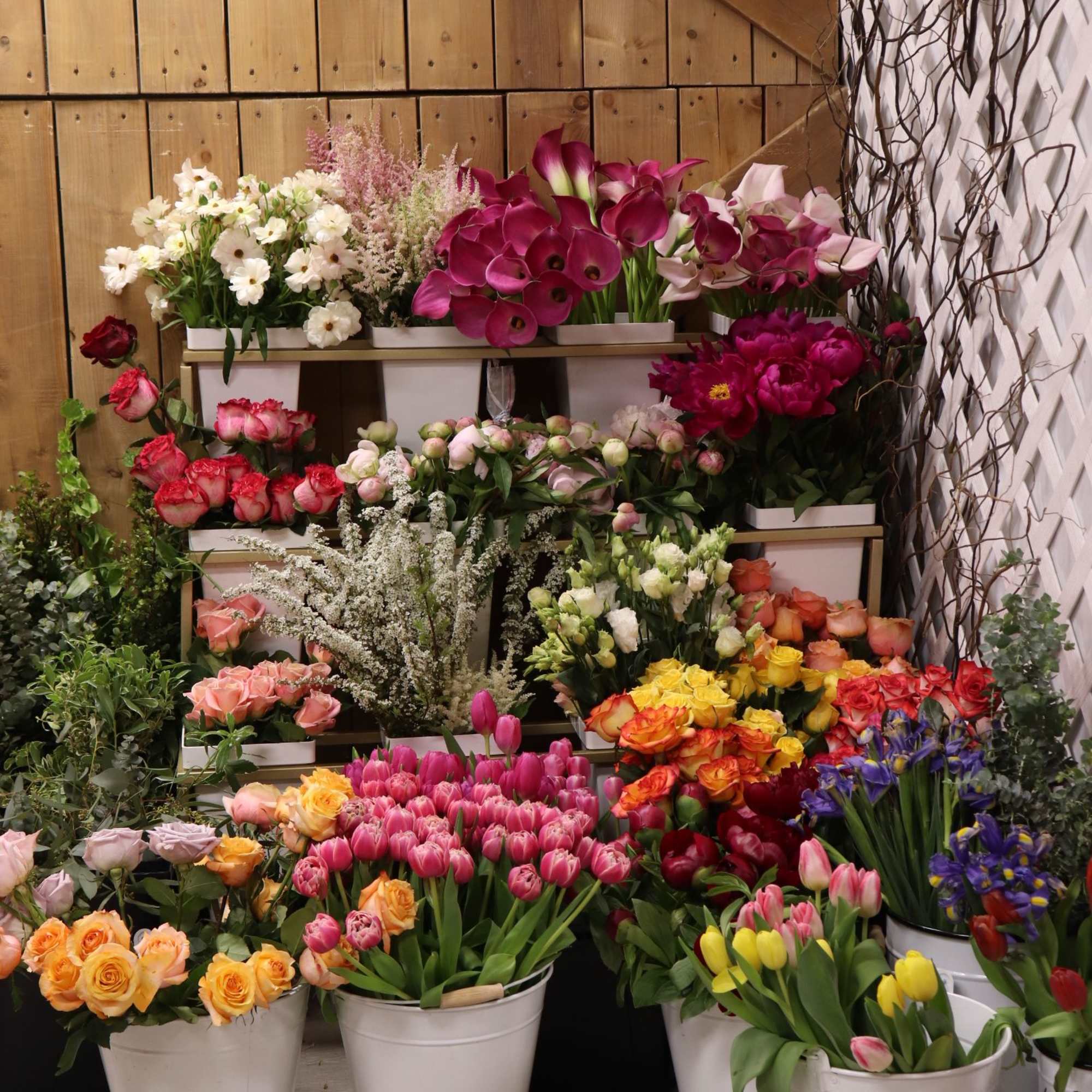 Assorted flower buckets with roses, tulips, calla lilies, and orchids