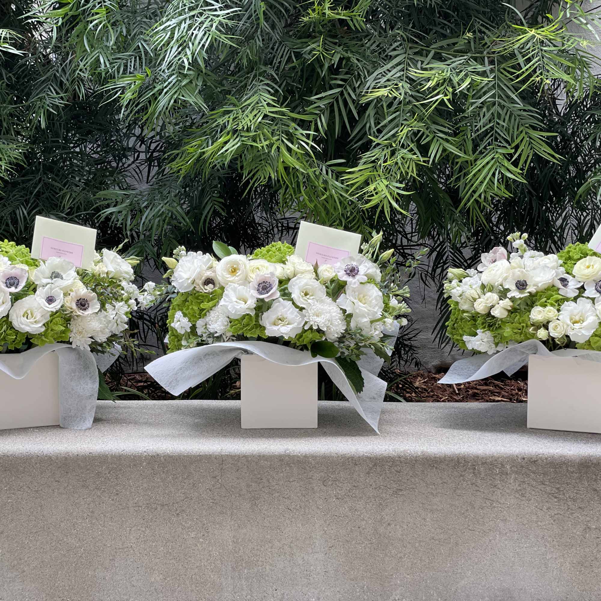 Box N.3 Green hydrangea with garden roses and amazing anemones
