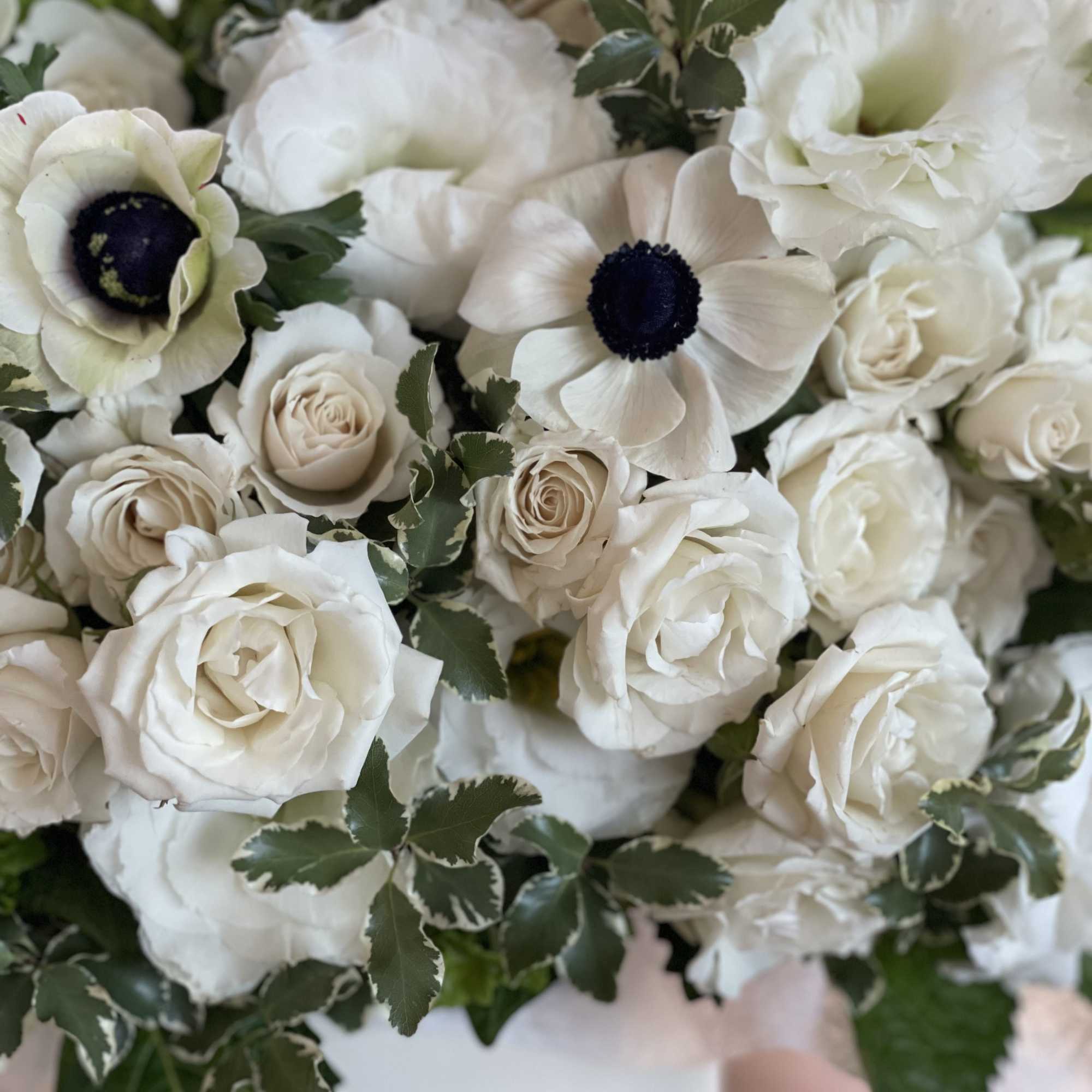 Box N.3 Green hydrangea with garden roses and amazing anemones
