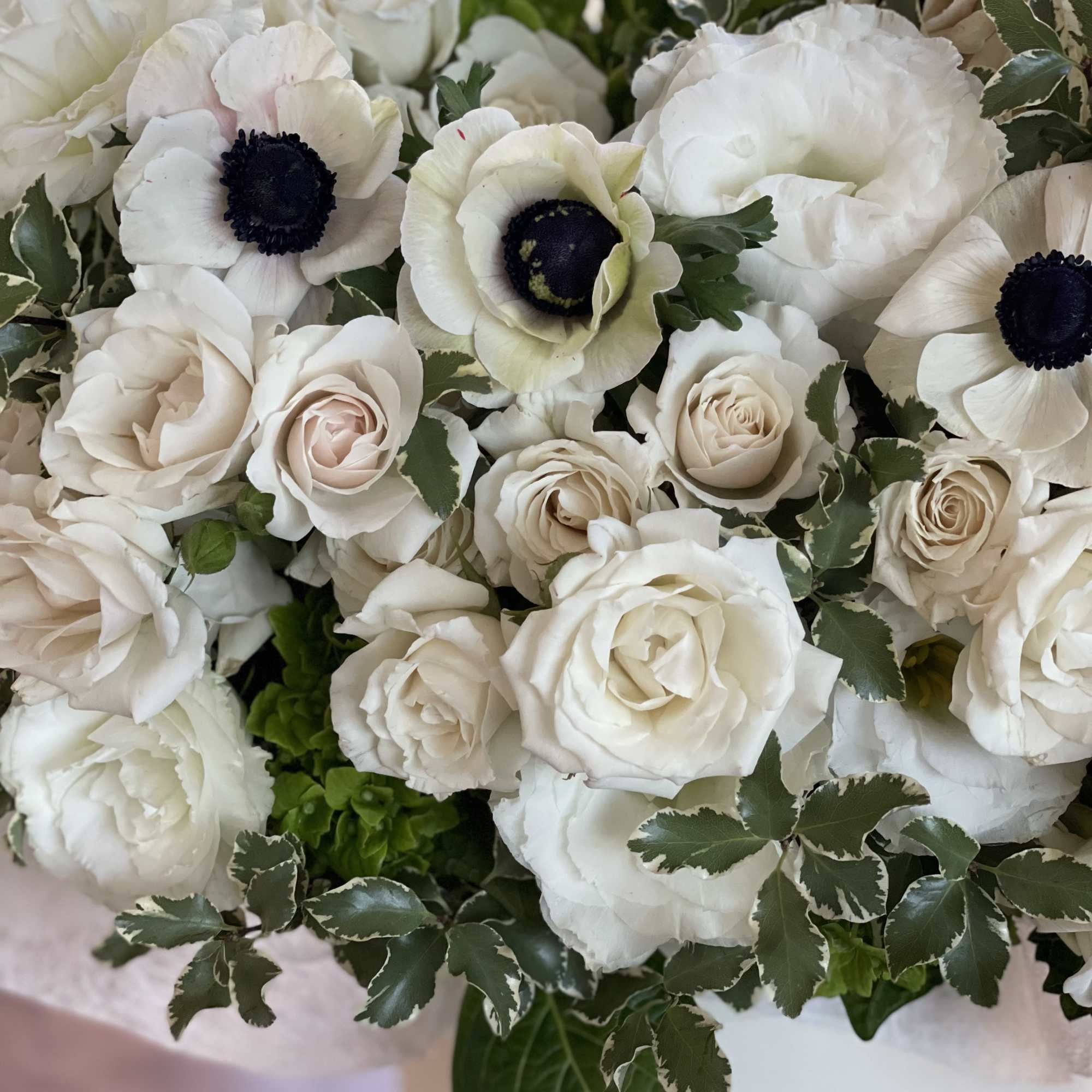 White rose and anemone arrangement with dark centers and variegated foliage in a white vase