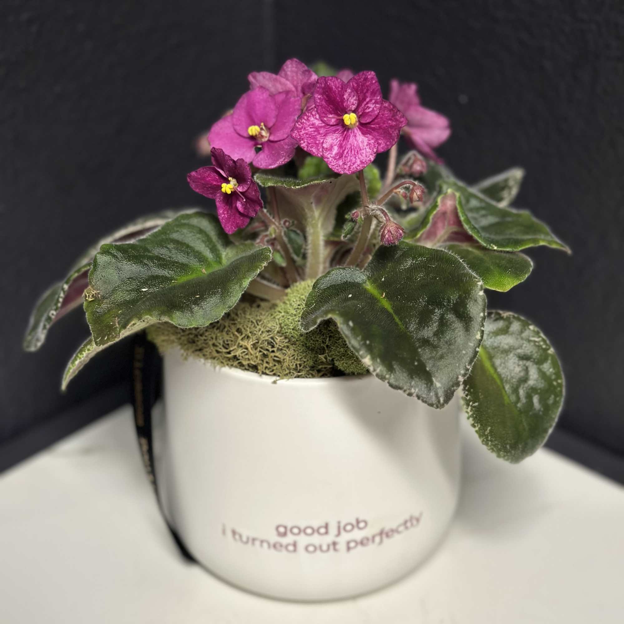 Sometimes parents need a reminder that their kids (or plants) are turning