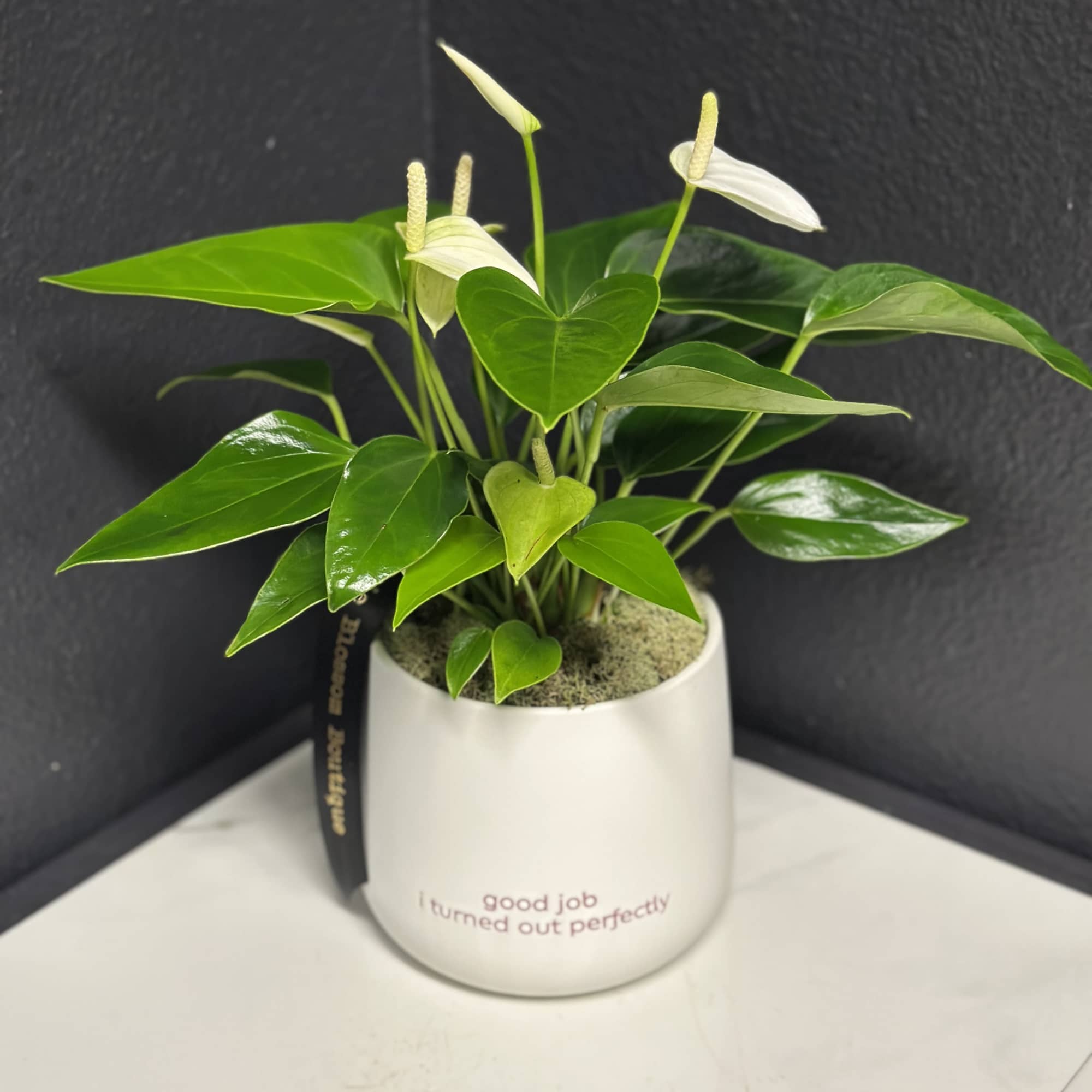 Sometimes parents need a reminder that their kids (or plants) are turning