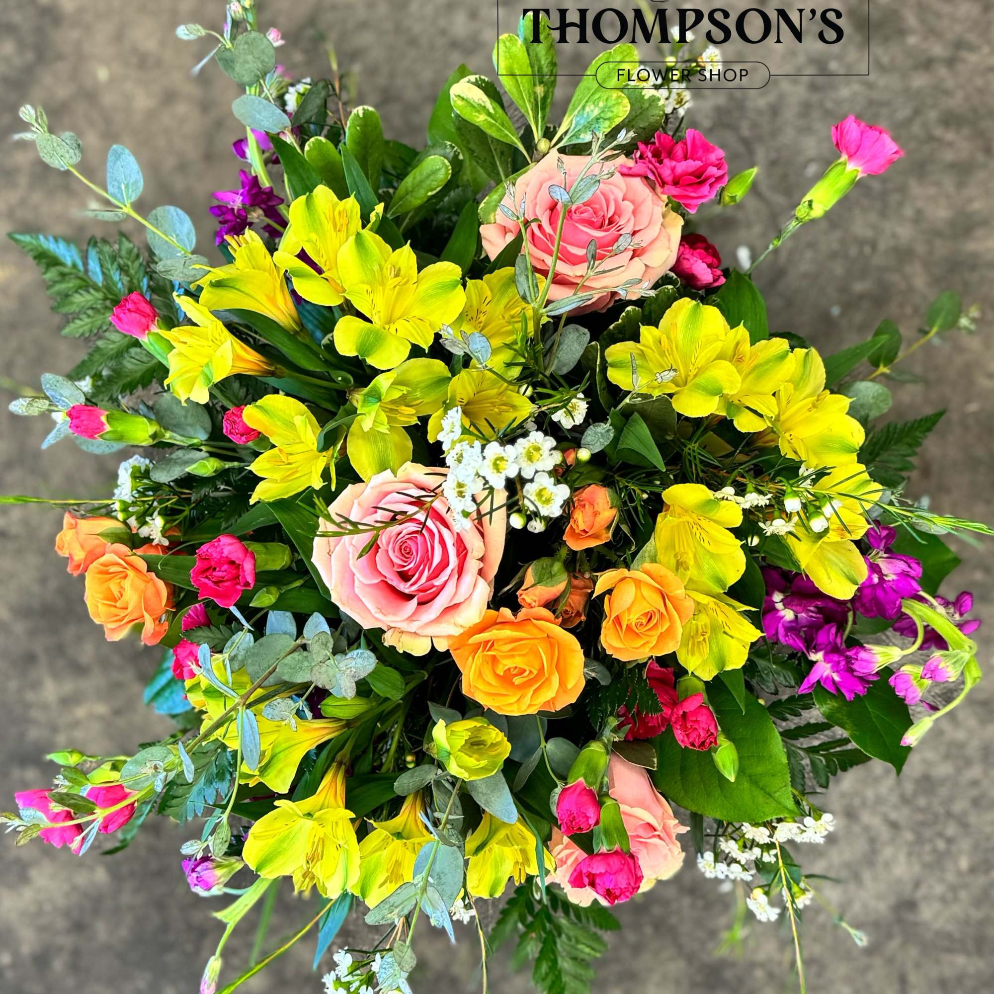 A vibrant celebration of color and light, Sundance is designed to capture