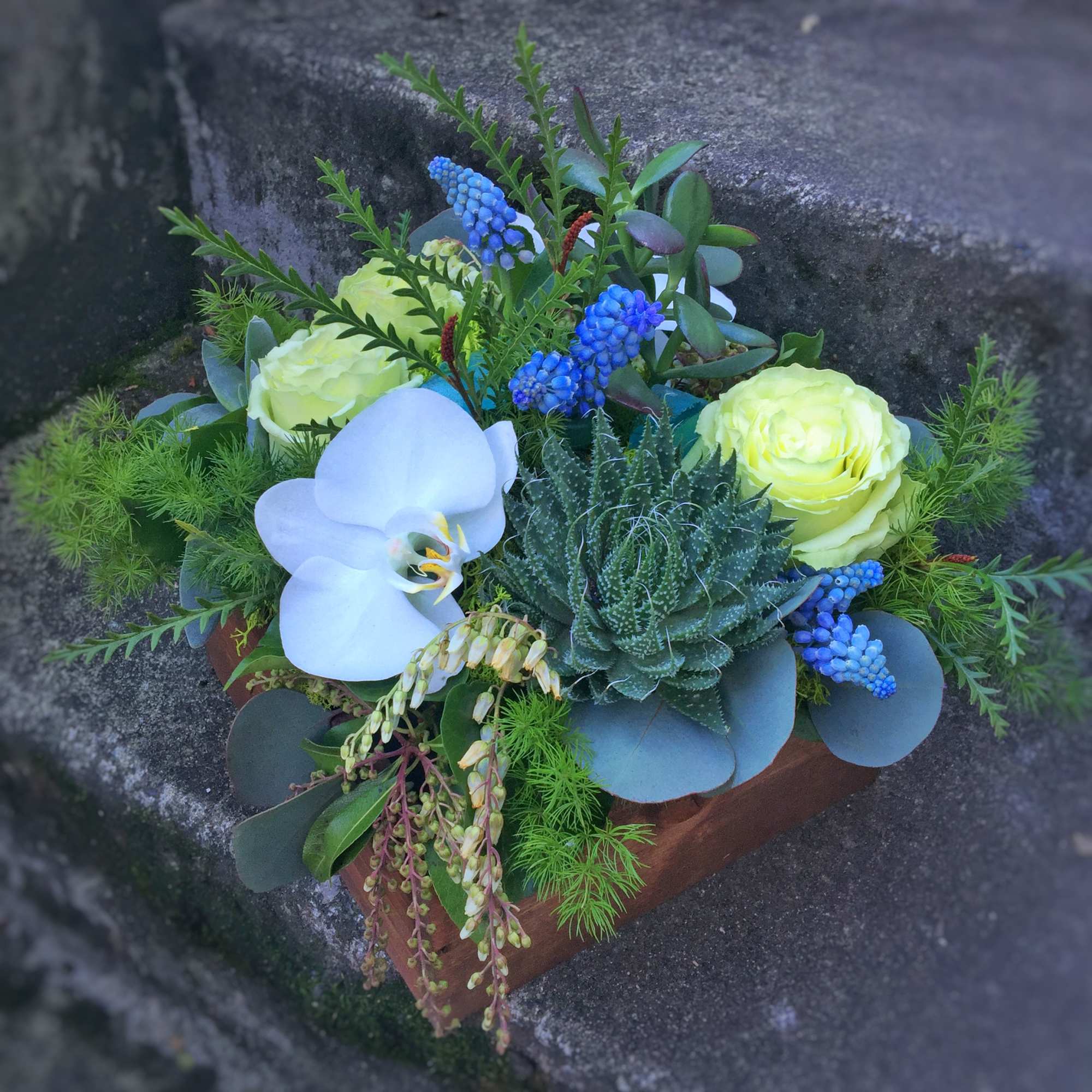 Our award-winning Texture Collection is a feast for the eyes, revealing another