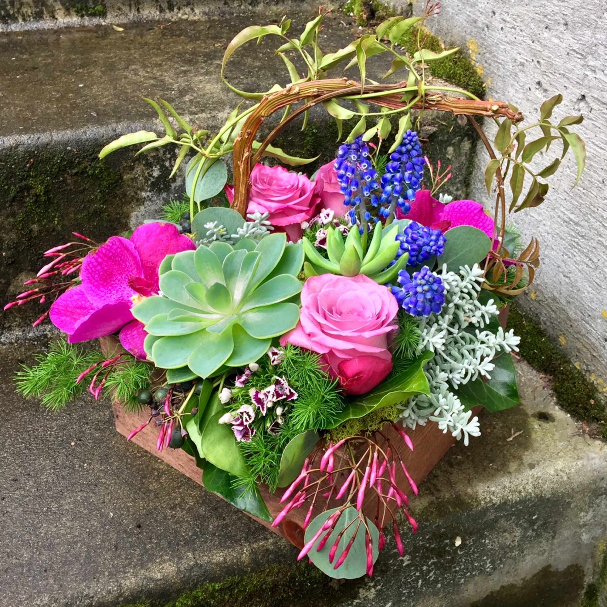 Our award-winning Texture Collection is a feast for the eyes, revealing another