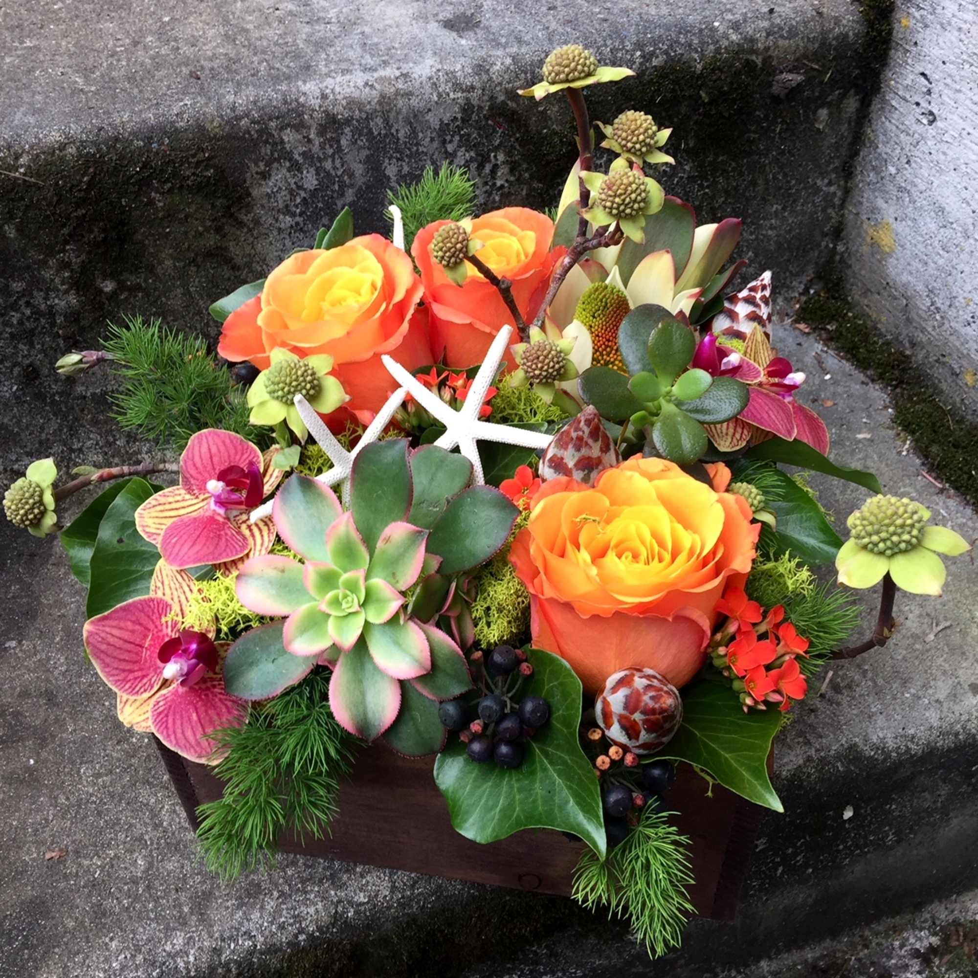 Our award-winning Texture Collection is a feast for the eyes, revealing another