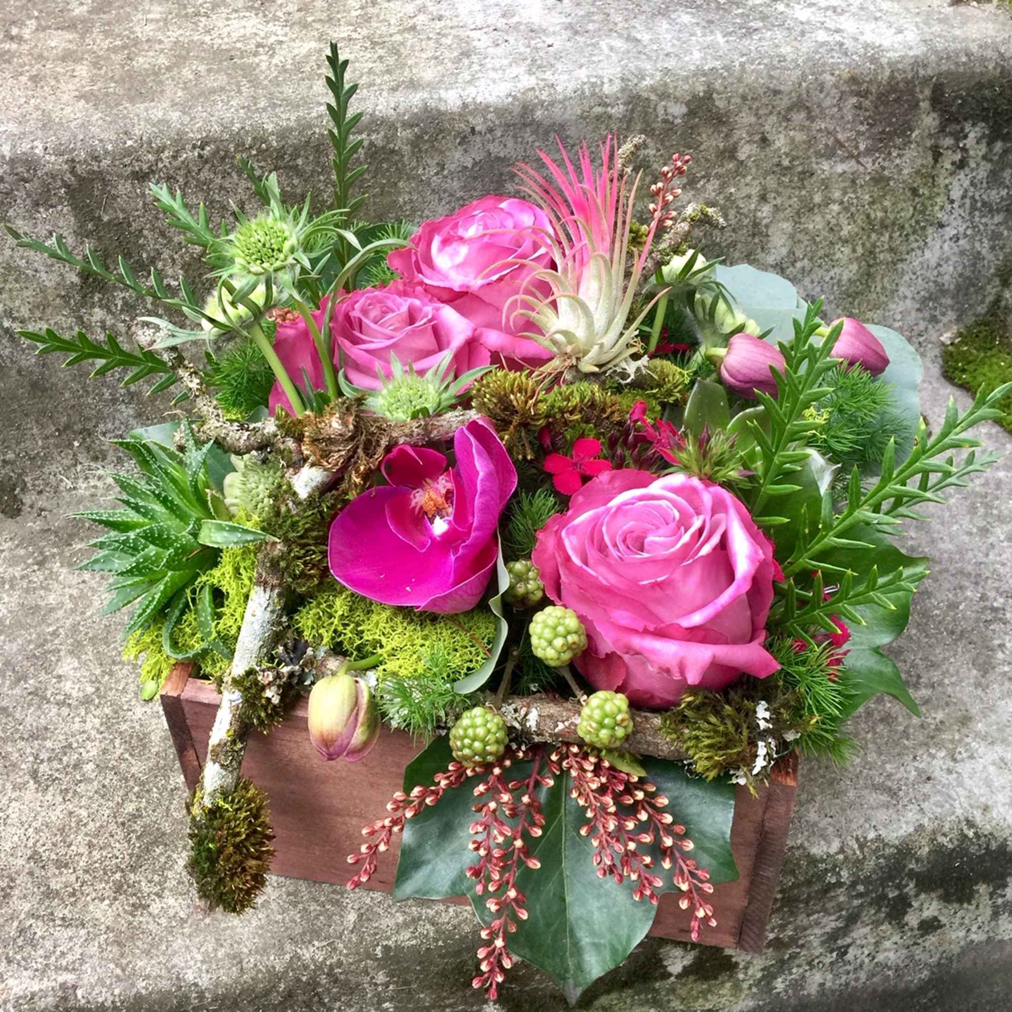 Our award-winning Texture Collection is a feast for the eyes, revealing another