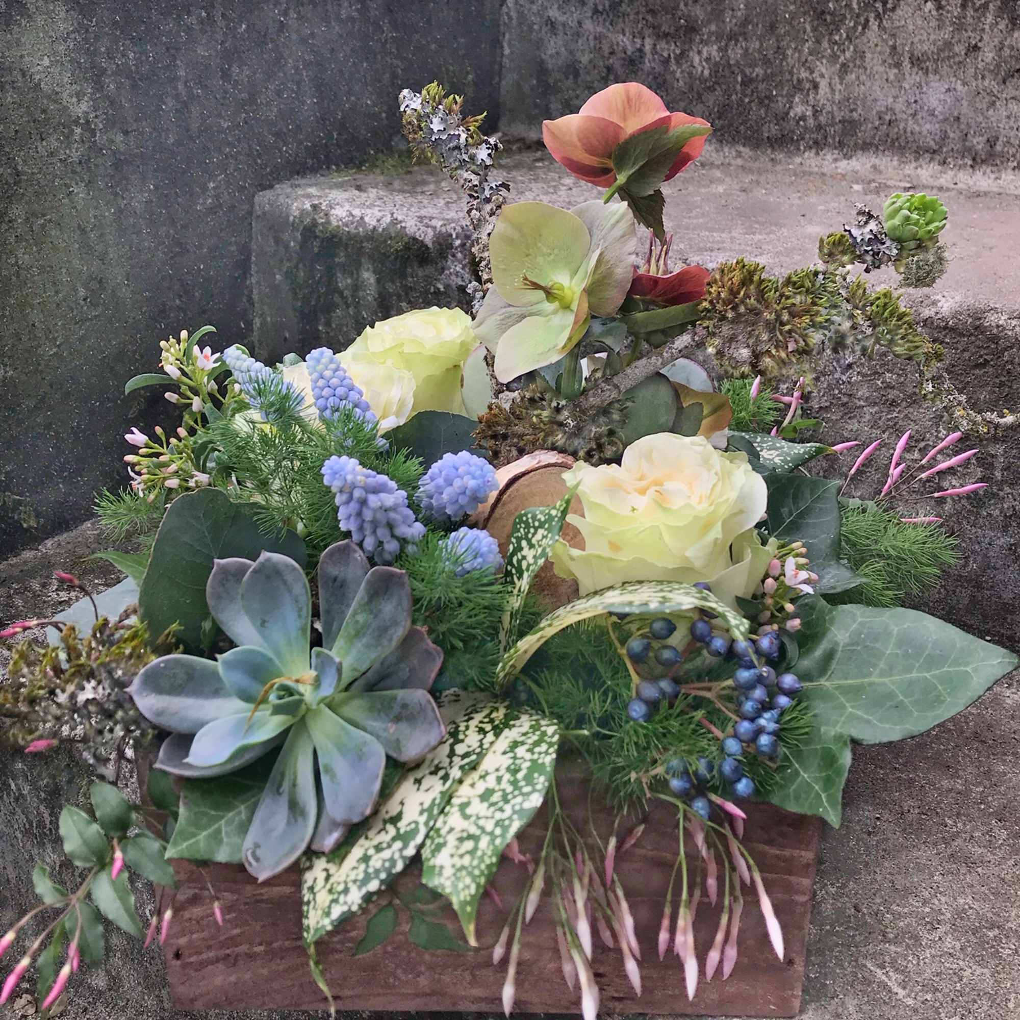 Our award-winning Texture Collection is a feast for the eyes, revealing another