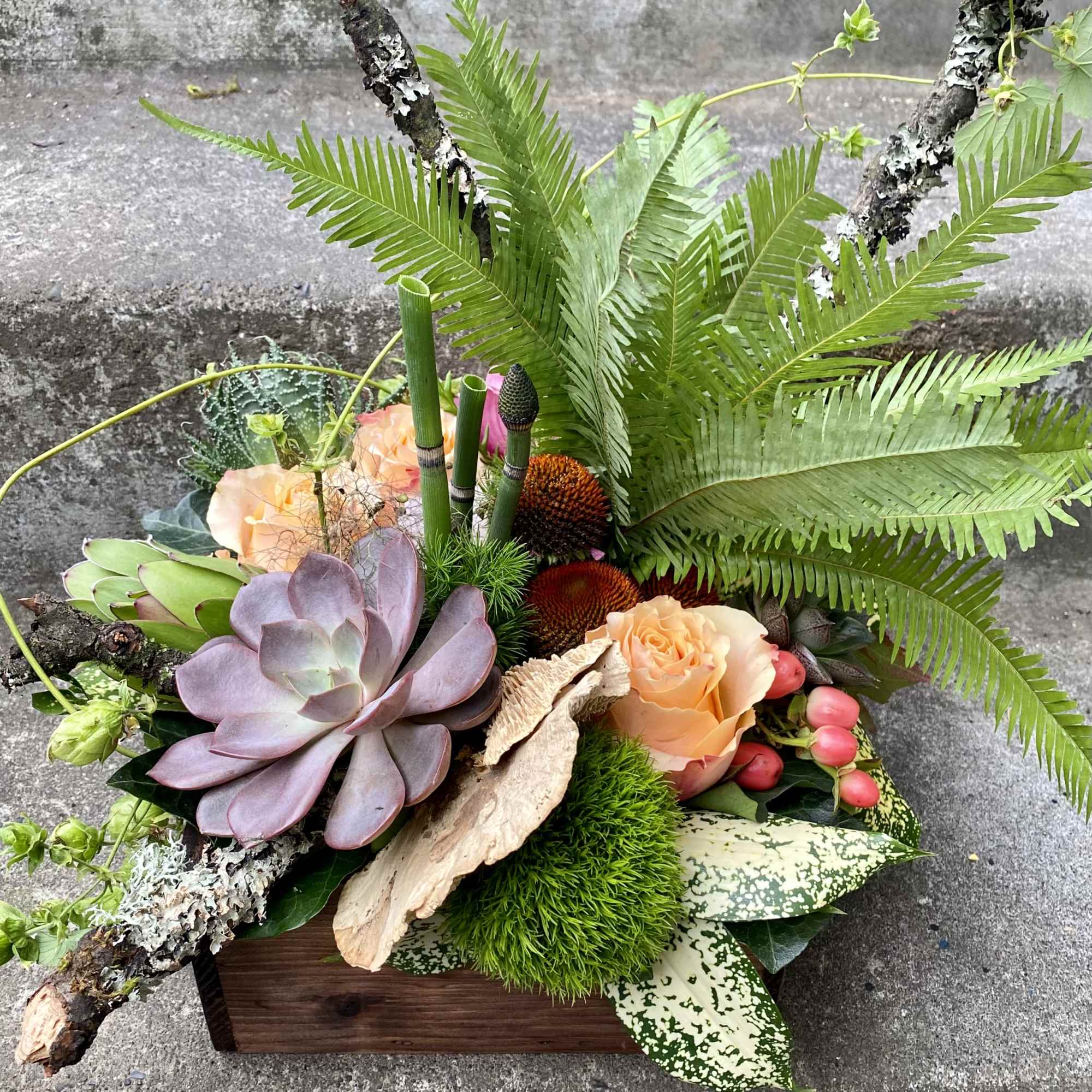 Our award-winning Texture Collection is a feast for the eyes, revealing another