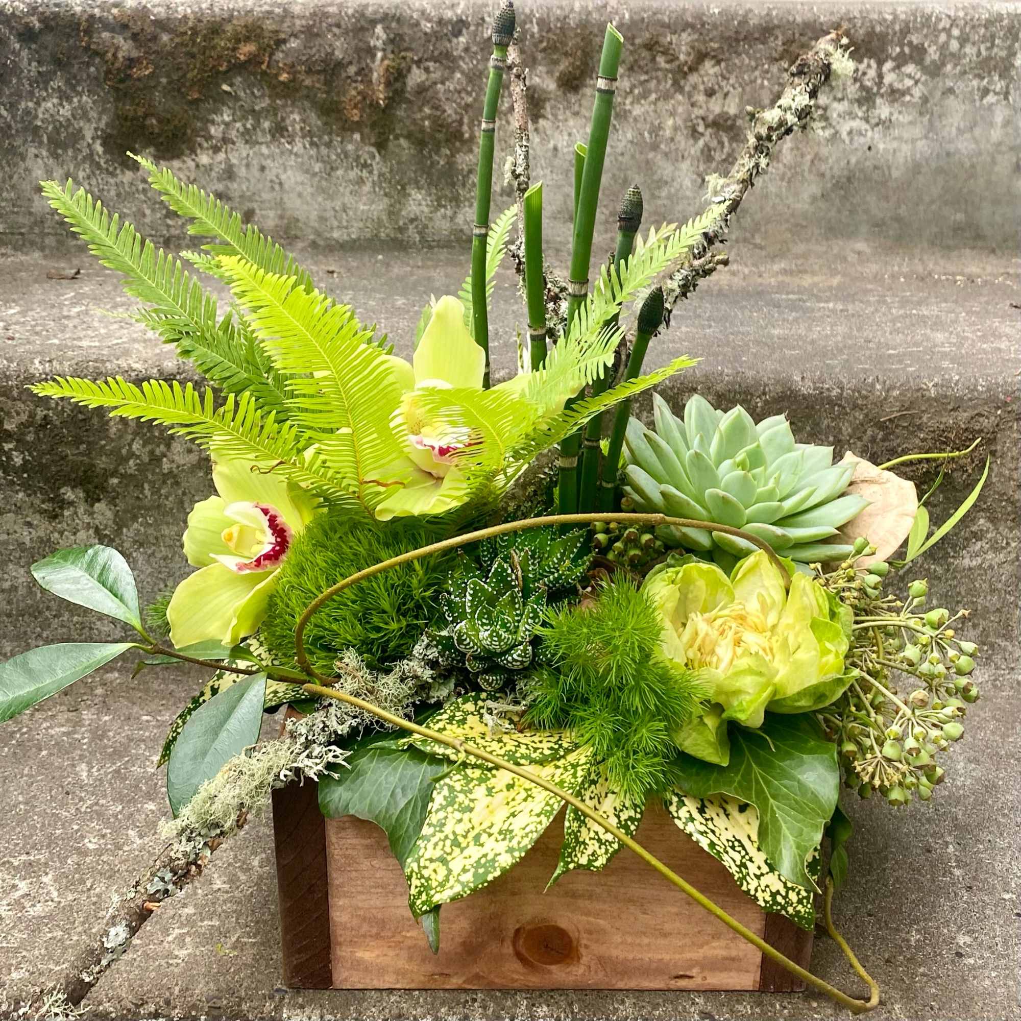 Our award-winning Texture Collection is a feast for the eyes, revealing another